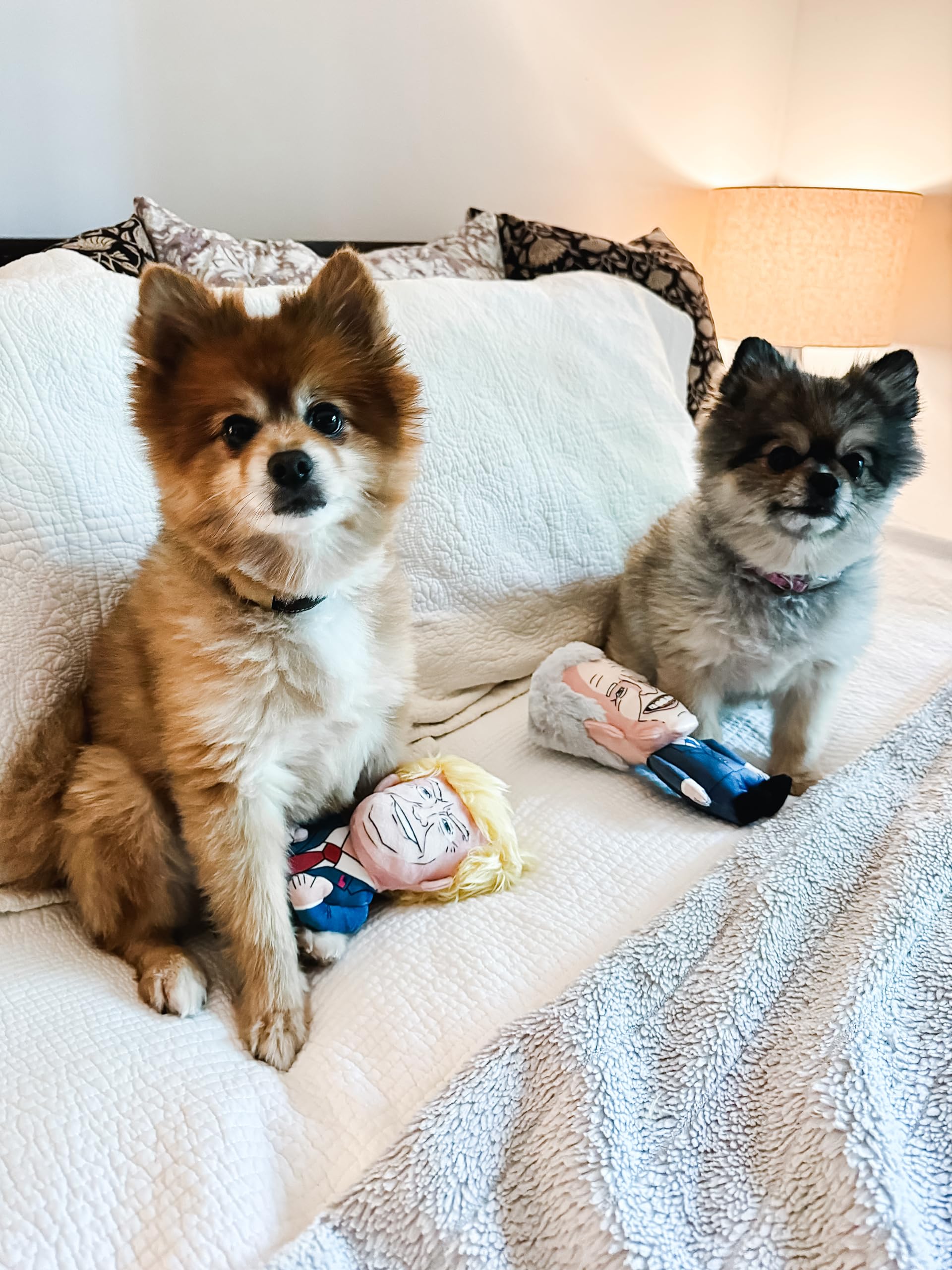 Donald Trump Hundespielzeug mit Quietschelement, lustiges politisches Kauspielzeug für Hunde und Katzen, perfekt zum Apportieren, Kauen und Kuscheln, integrierter Quietscher für ununterbrochene