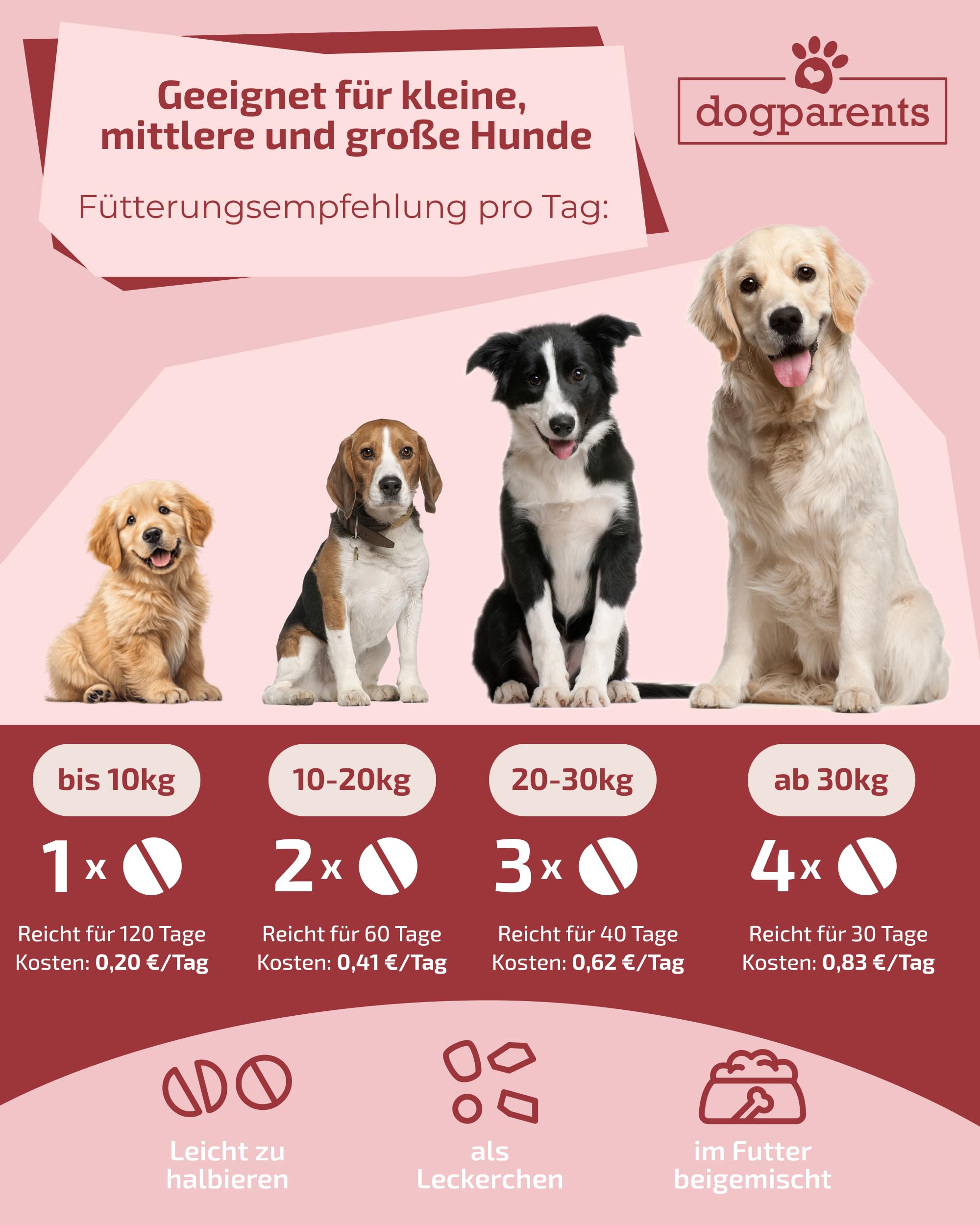 Prä & Probiotika Hund [MADE IN GERMANY, ZUCKERFREI & LABORGEPRÜFT] Darmkur mit 670 Mrd. KBE & Präbiotika – stärkt Darmflora & Verdauung – ideal nach Wurmkur, Grasfressen & Sodbrennen (180g (1er Pack))