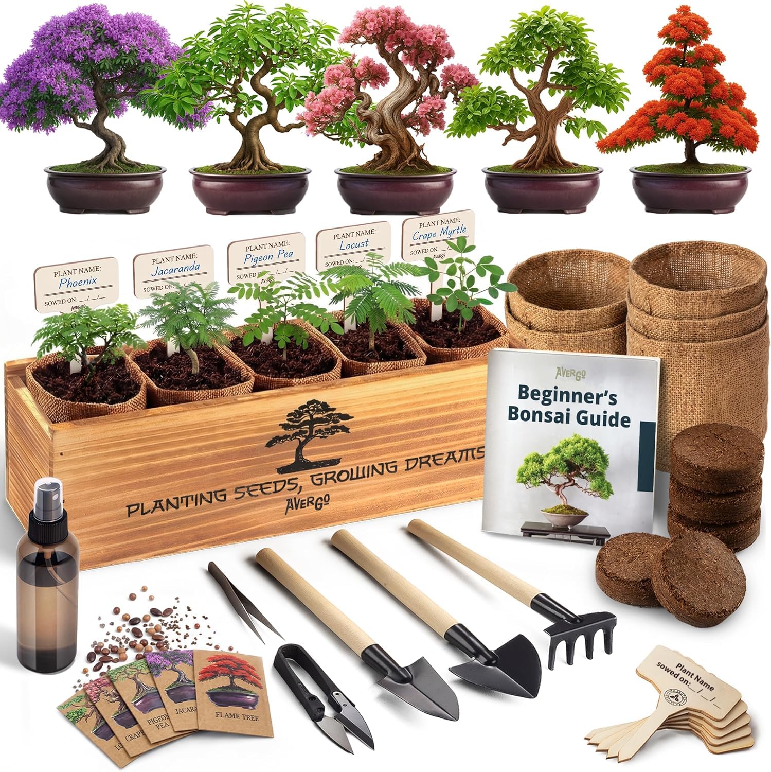 AVERGO Bonsai Tree Kit Classic - 5X Unique Japanese Bonzai Trees