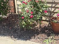 Review Image by yaaney yaaney