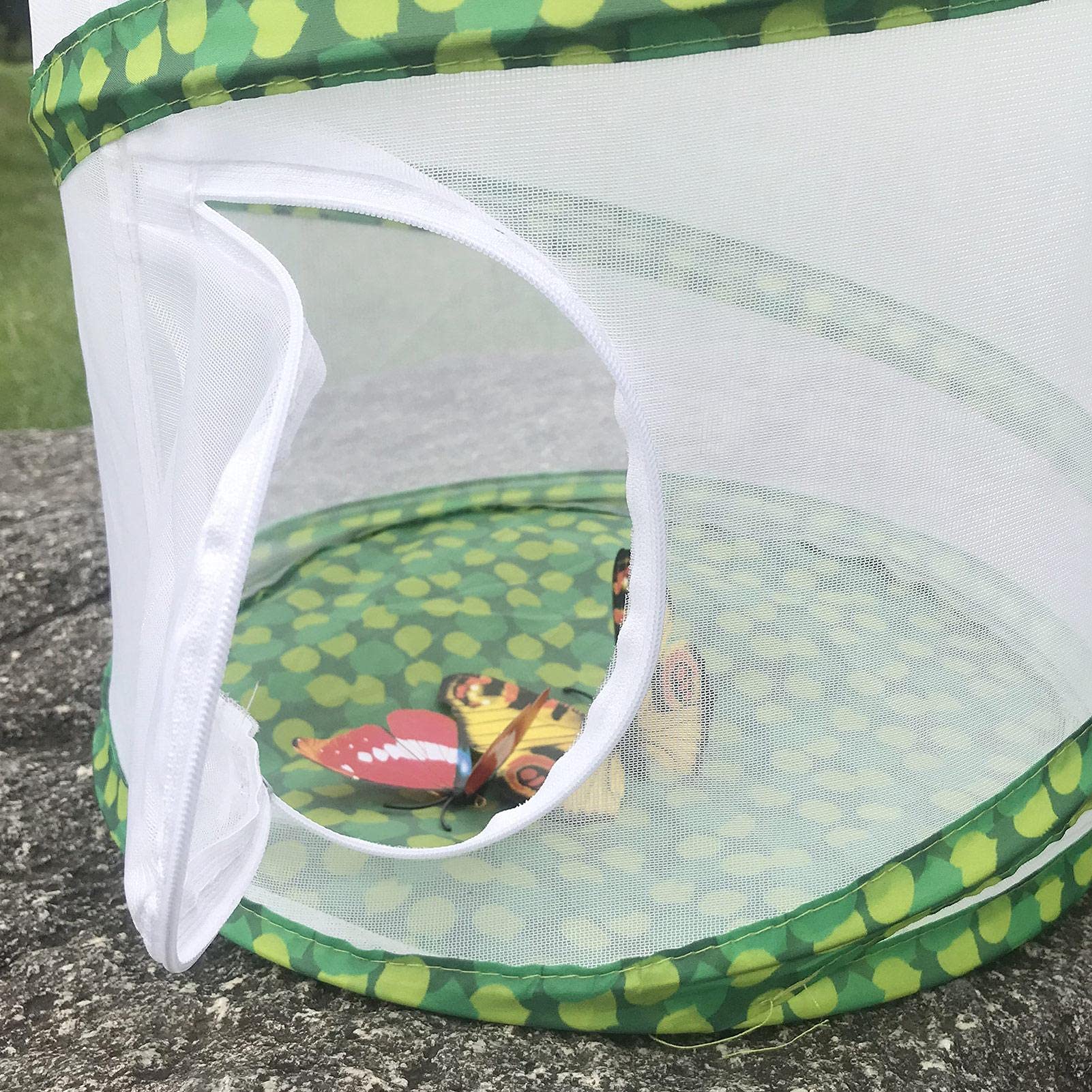 Cage d'élevage d'insectes pliable, filet de protection pour papillon et scarabée, portatif