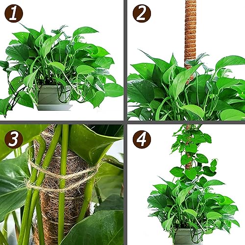 Miniatura 7 de Poste de musgo de 60 pulgadas para plantas Monstera, postes de musgo altos y flexibles para plantas trepadoras de interiores, palos grandes hechos a