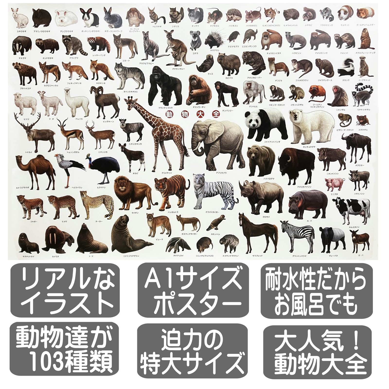 Amazon.co.jp: 動物 ポスター 特大サイズ 動物大全 お風呂ポスター