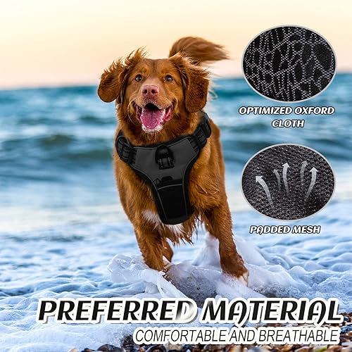 Miniatura 4 de Arnés para perros pequeños sin tirones