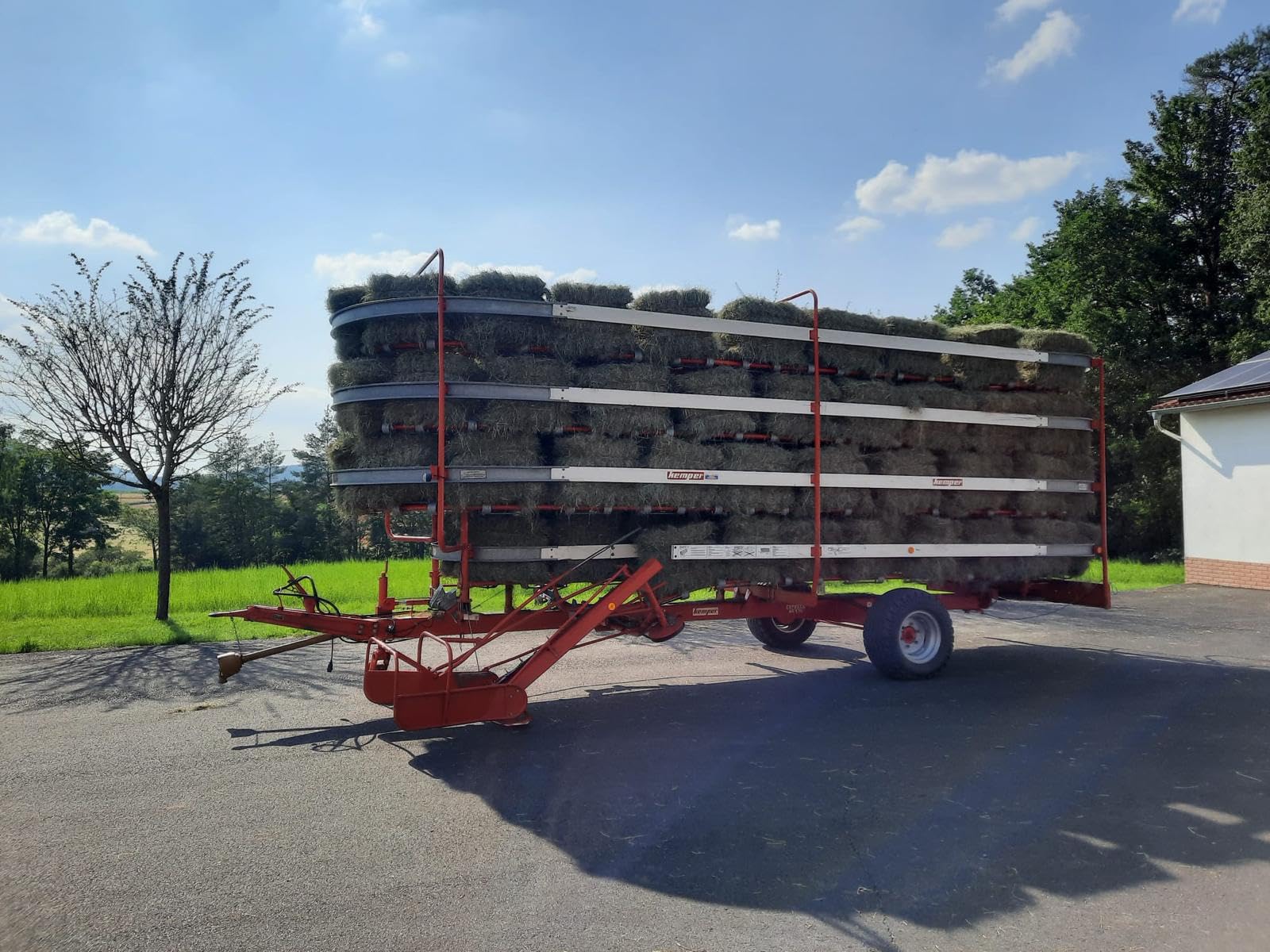 Carton-Bon marché I Foin 10 kg Balles de Foin pour cochons d'Inde Paille