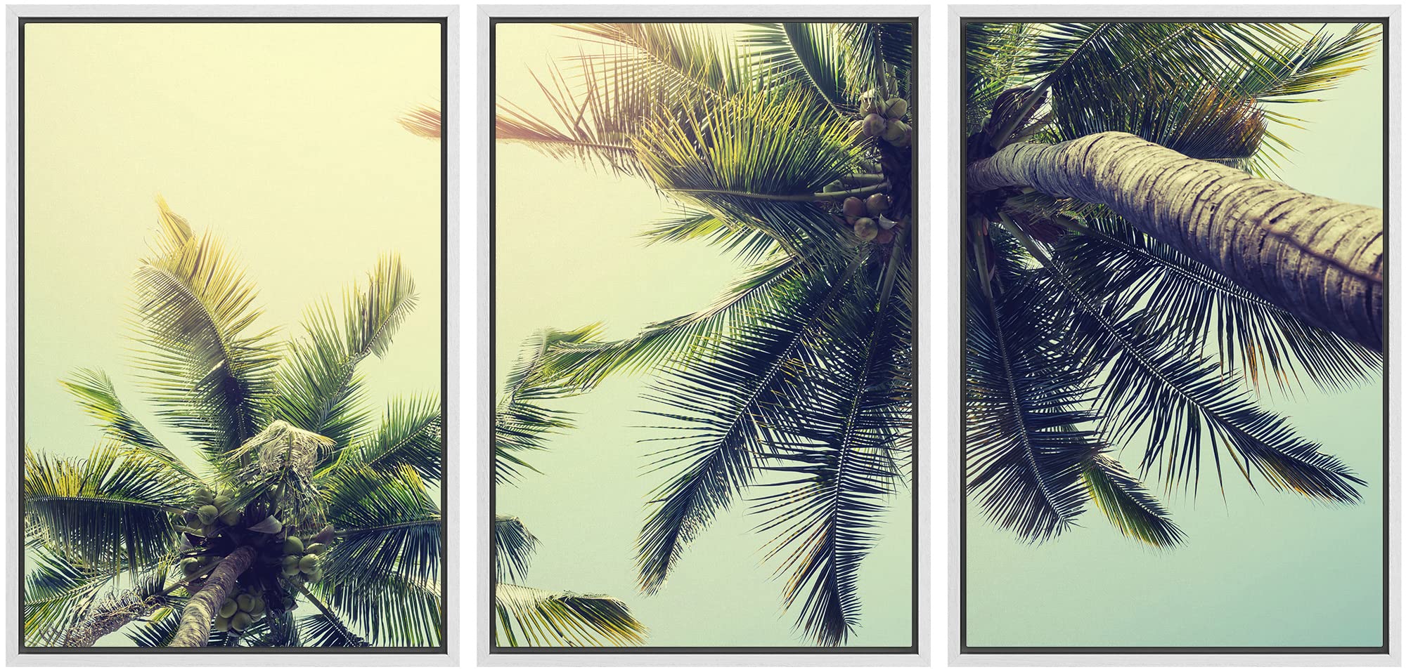 Amazon.com: wall26 - Palm Tree on Tropical Beach - Framed Canvas