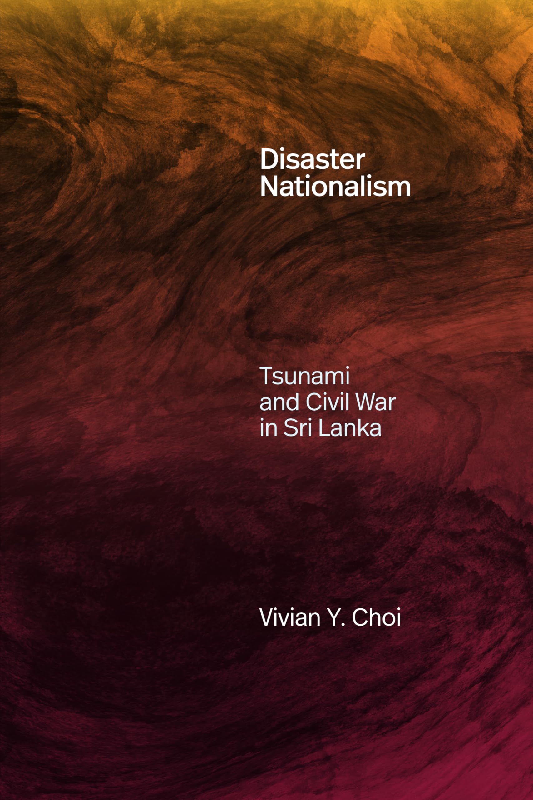 Disaster Nationalism by Vivian Y. Choi (Paperback Book)