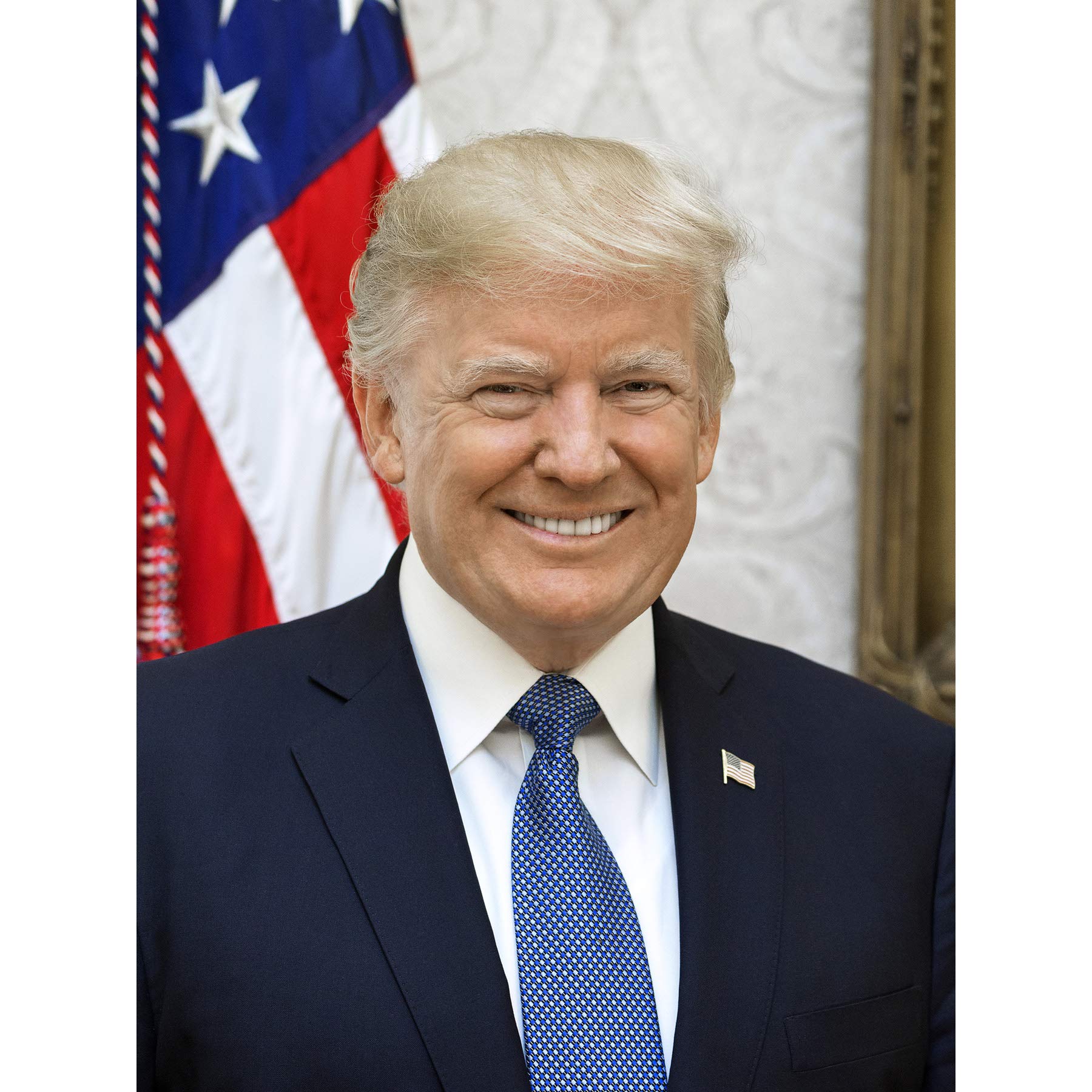 Artery8 Craighead Portrait US President Donald Trump Photo Premium Wall Art Canvas Print 18X24 Inch