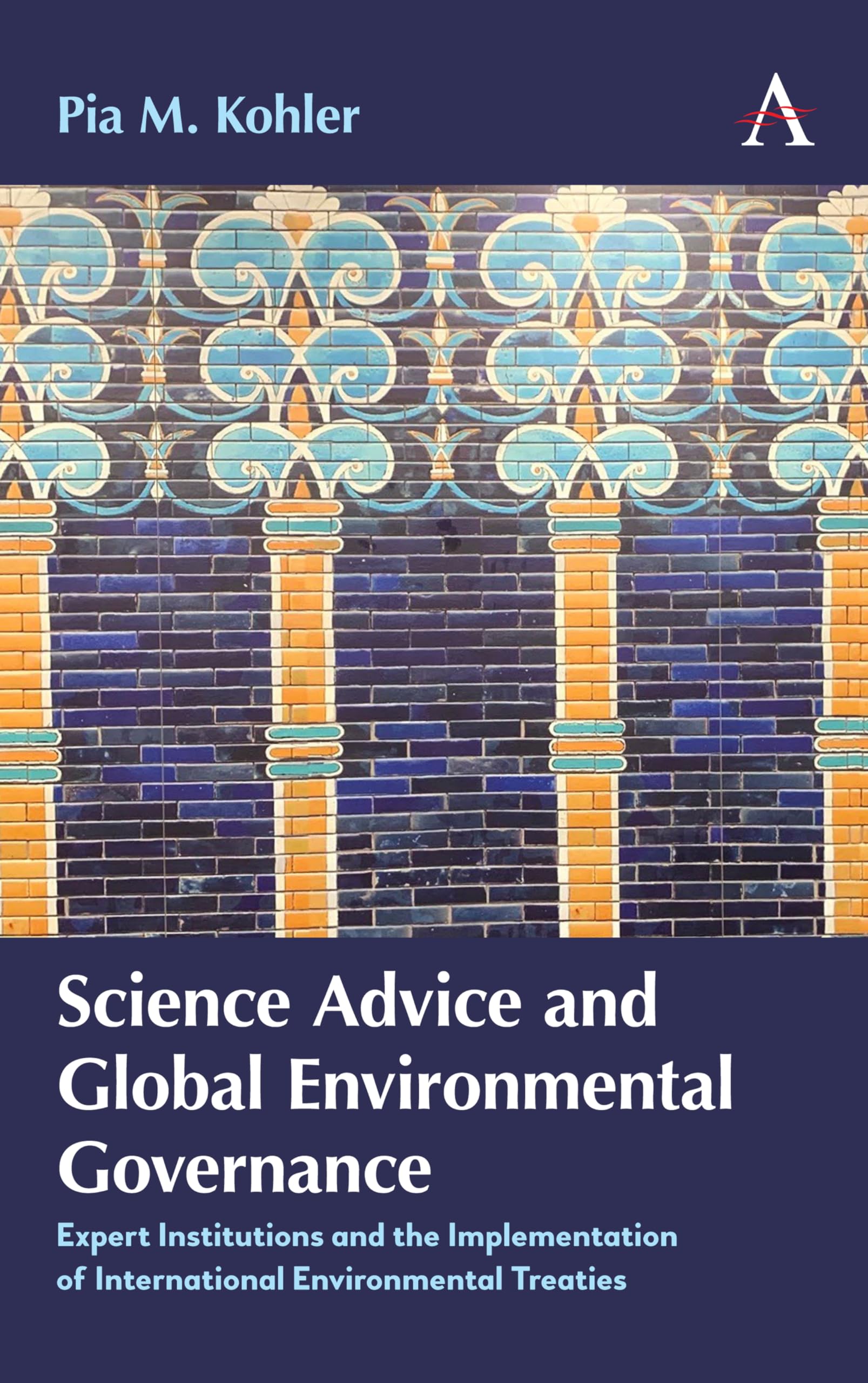 Science Advice and Global Environmental Governance: Expert Institutions and the Implementation of International Environmental Treaties (Anthem Environment and Sustainability Initiative (AESI))