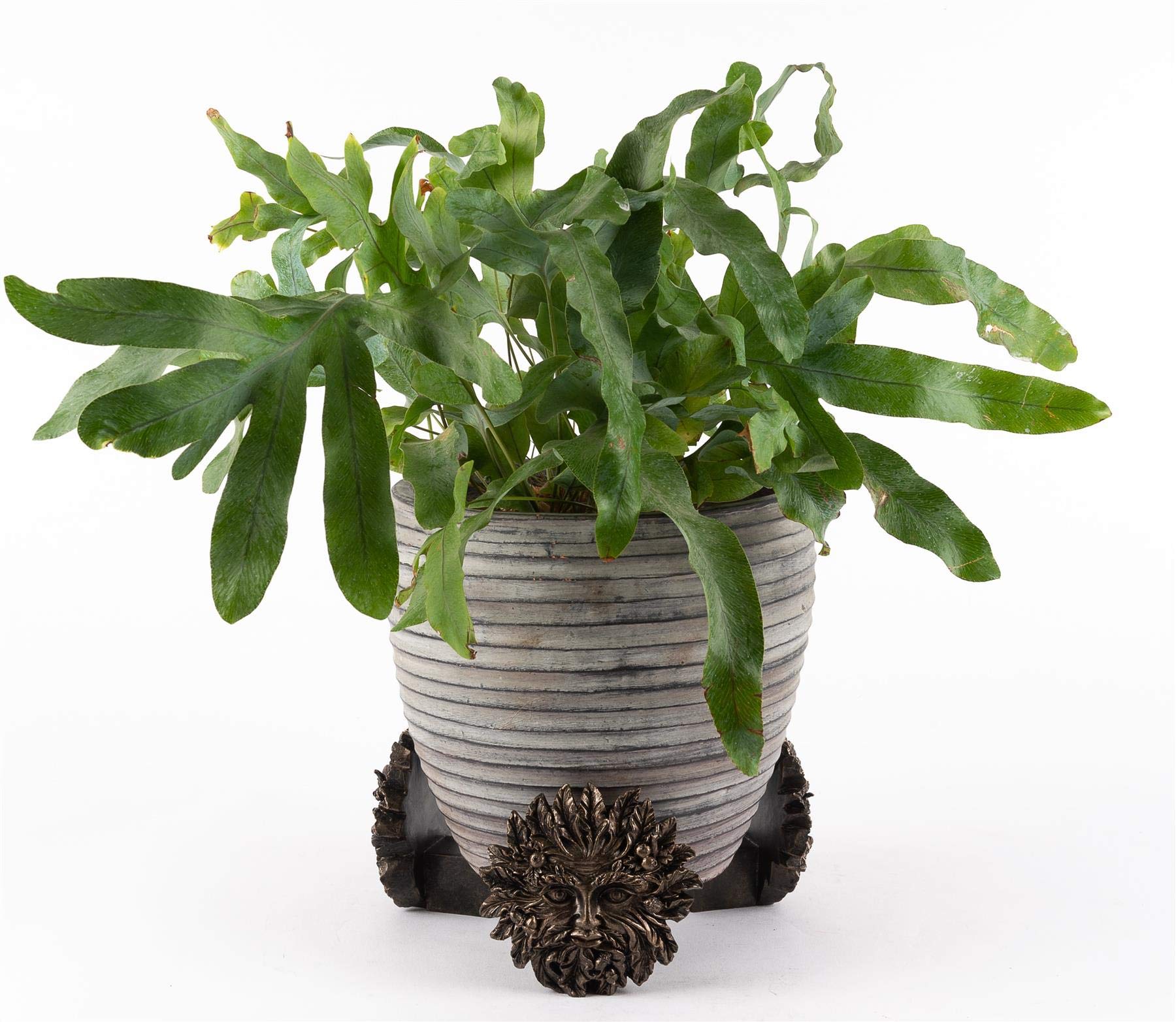 Potty Feet Green Man Figures Plant Pot Feet - Planter Support - Handmade Decorative Ornaments - 3pcs - Image 3