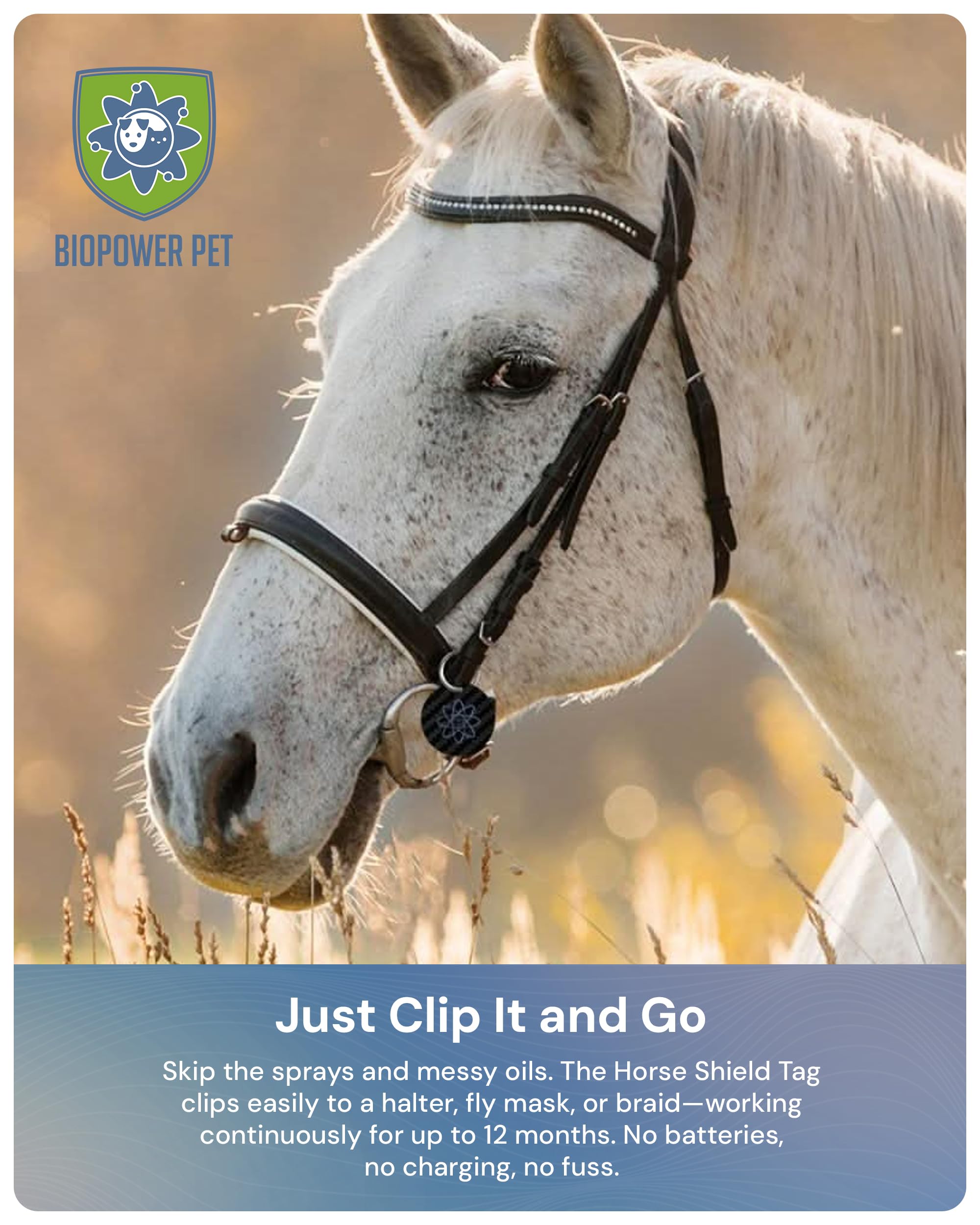 BioPower Natural Fly & Tick Repellent for Horses - Horse Shield Tag with 1-Year Bioresonance Protection – Chemical-Free, Waterproof Carbon Tag That Clips to Halter – Non-Toxic Pest Defense - image 4
