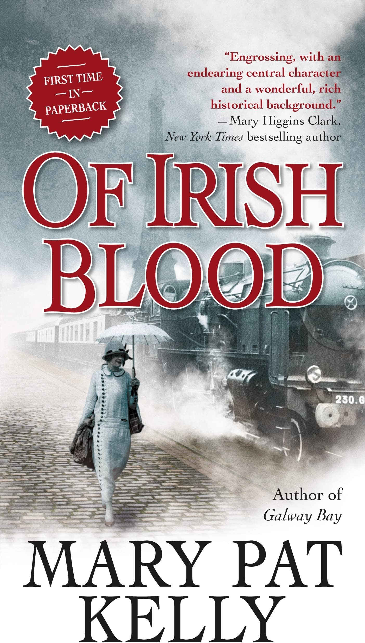 Of Irish Blood: A Novel