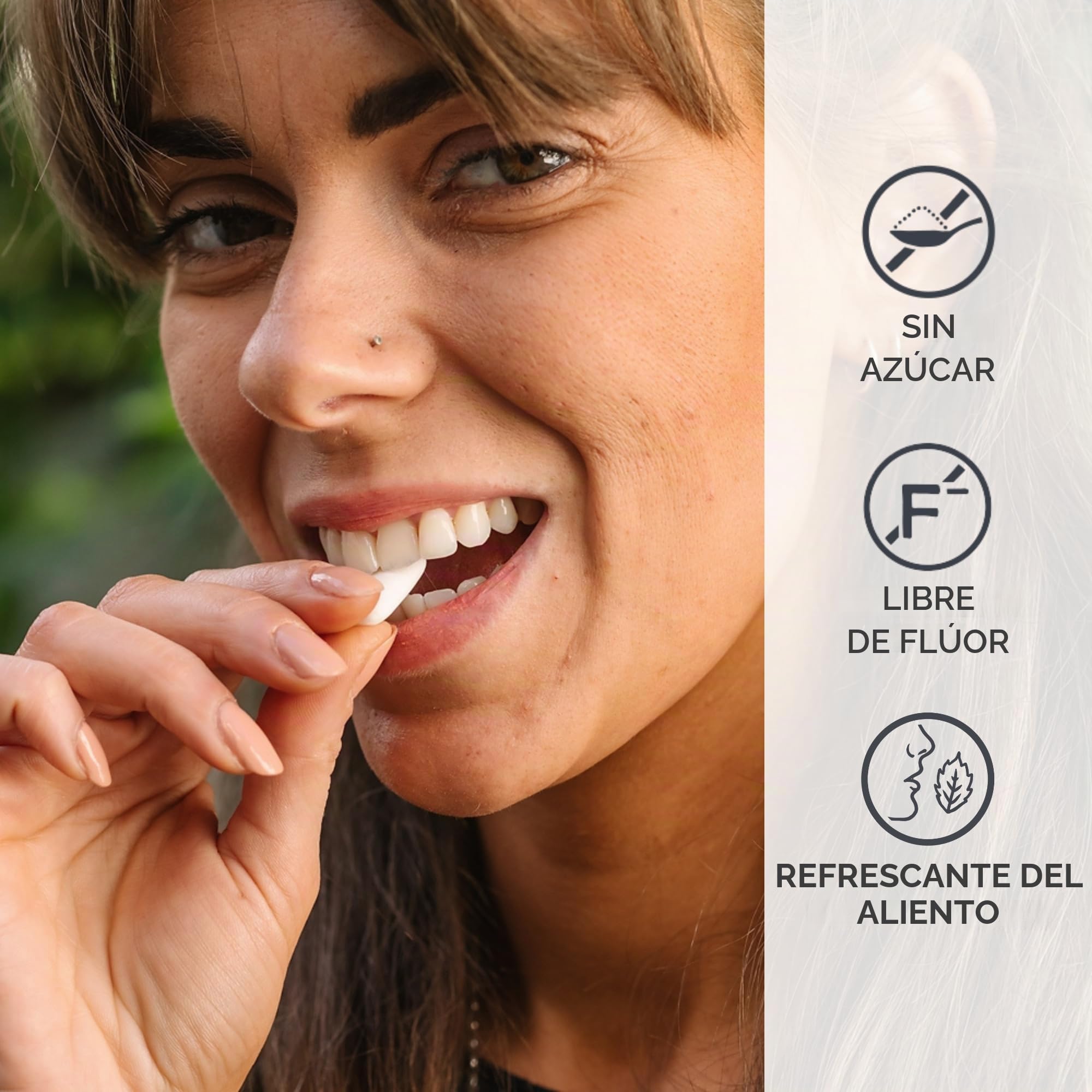 Chicle natural Menta 160uds