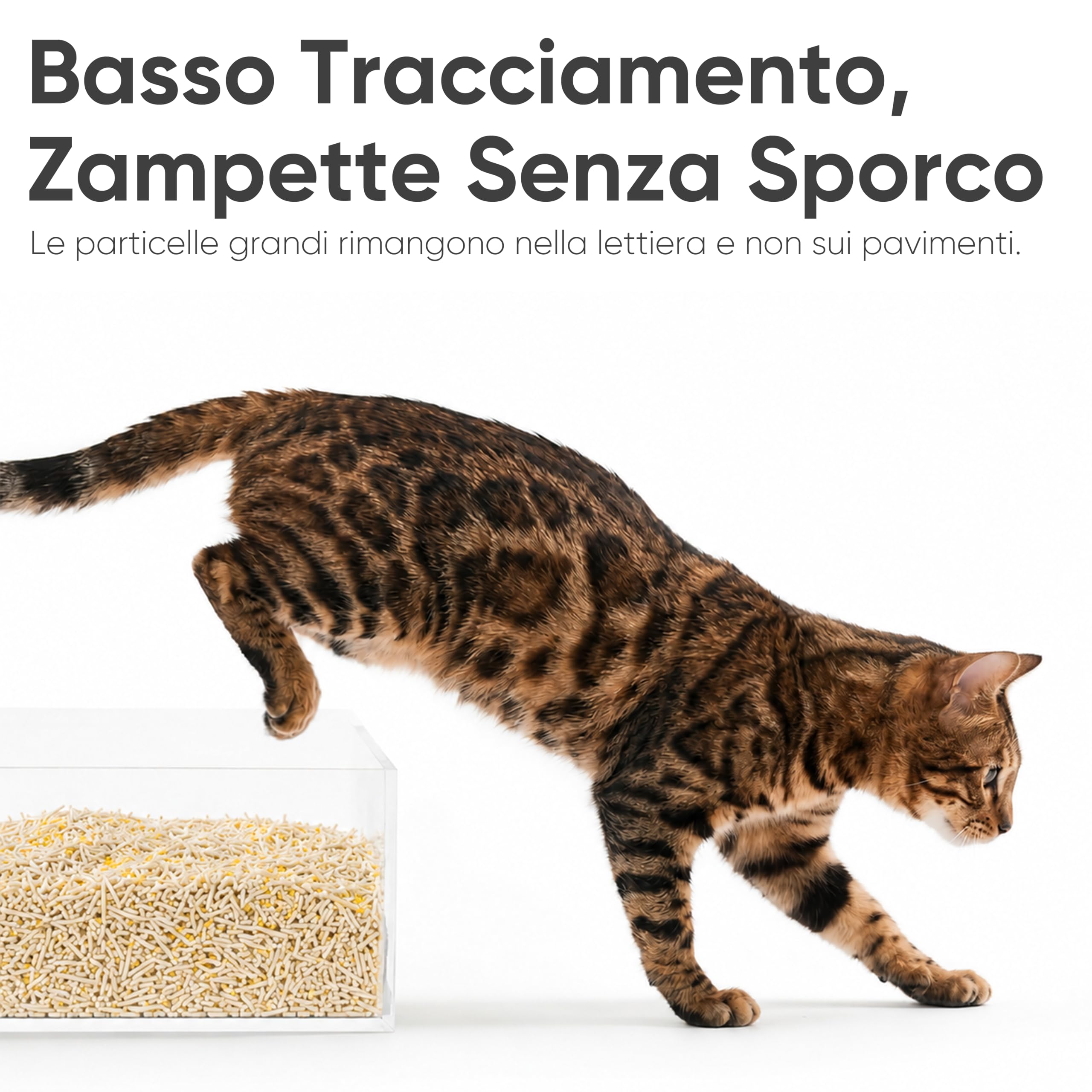 FUKUMARU Lettiera per Gatti al Tofu e Miglio 24Lb, Lettiera Agglomerante a Base Vegetale di Mais, Agglomerante Superiore, Assorbente e Anti-odore, Bassa Polvere, Biodegradabile e Scaricabile nel WC.