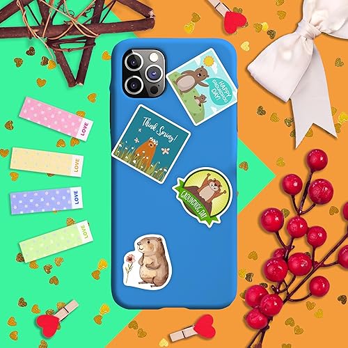 Vista 111 de BulbaCraft 100 calcomanías de baile para botella de agua, calcomanías de baile para álbumes de recortes, regalos para bailarines, regalos