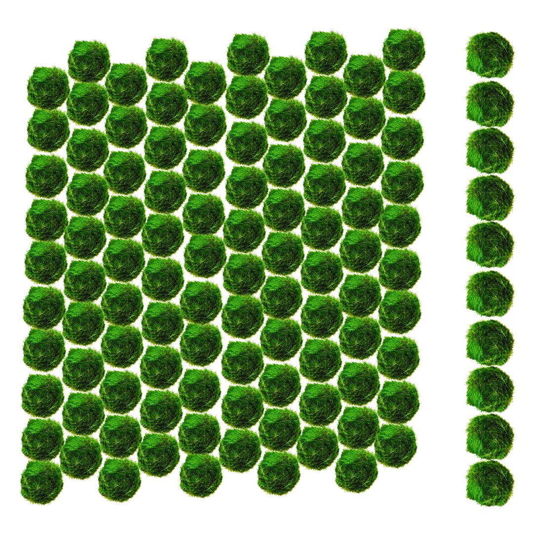 Marimo Moss Balls Aquarium Aquatic Plant Easy Betta Shrimp Java (100 (+10 Free))