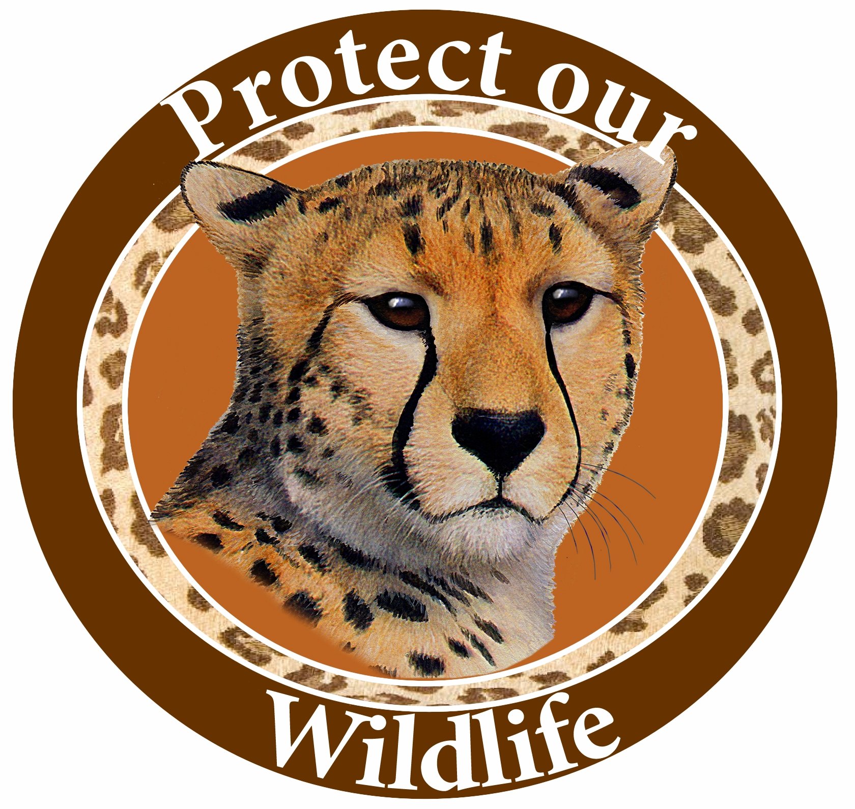 E&S Pets"Protect Our Wildlife" Car Magnet With Realistic Looking Cheetah Photograph In The Center Covered In UV Gloss For Weather and Fading Protection Circle Shaped Magnet Measures 5.25 Inches Diameter