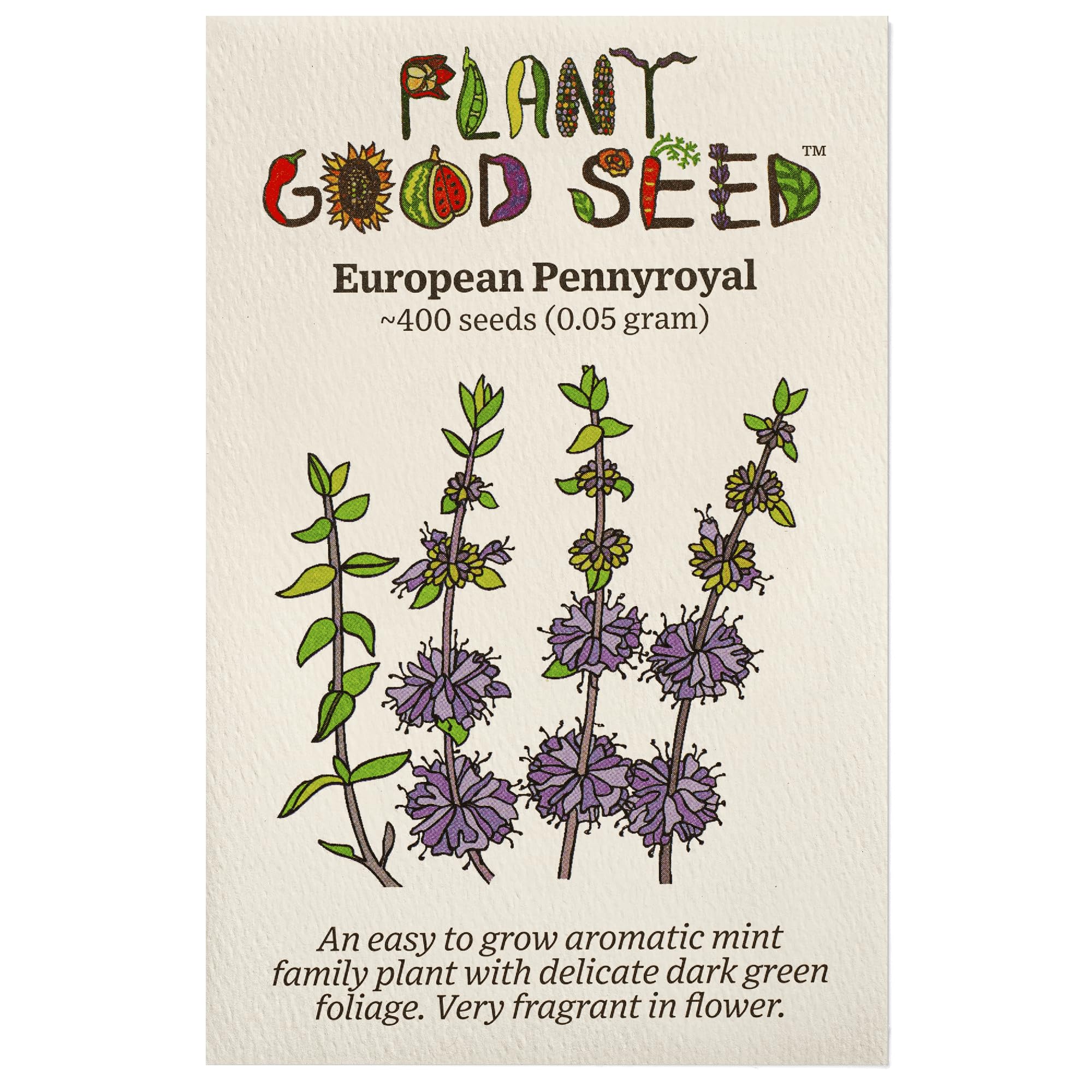 Plant Good Seed Organic European Pennyroyal Seeds - Pack of 400, Heirloom Seeds for Planting Herbs, Flowers - Gardening Supplies, Wildflower, Herb Garden, Flowers to Plant Outside - from USA
