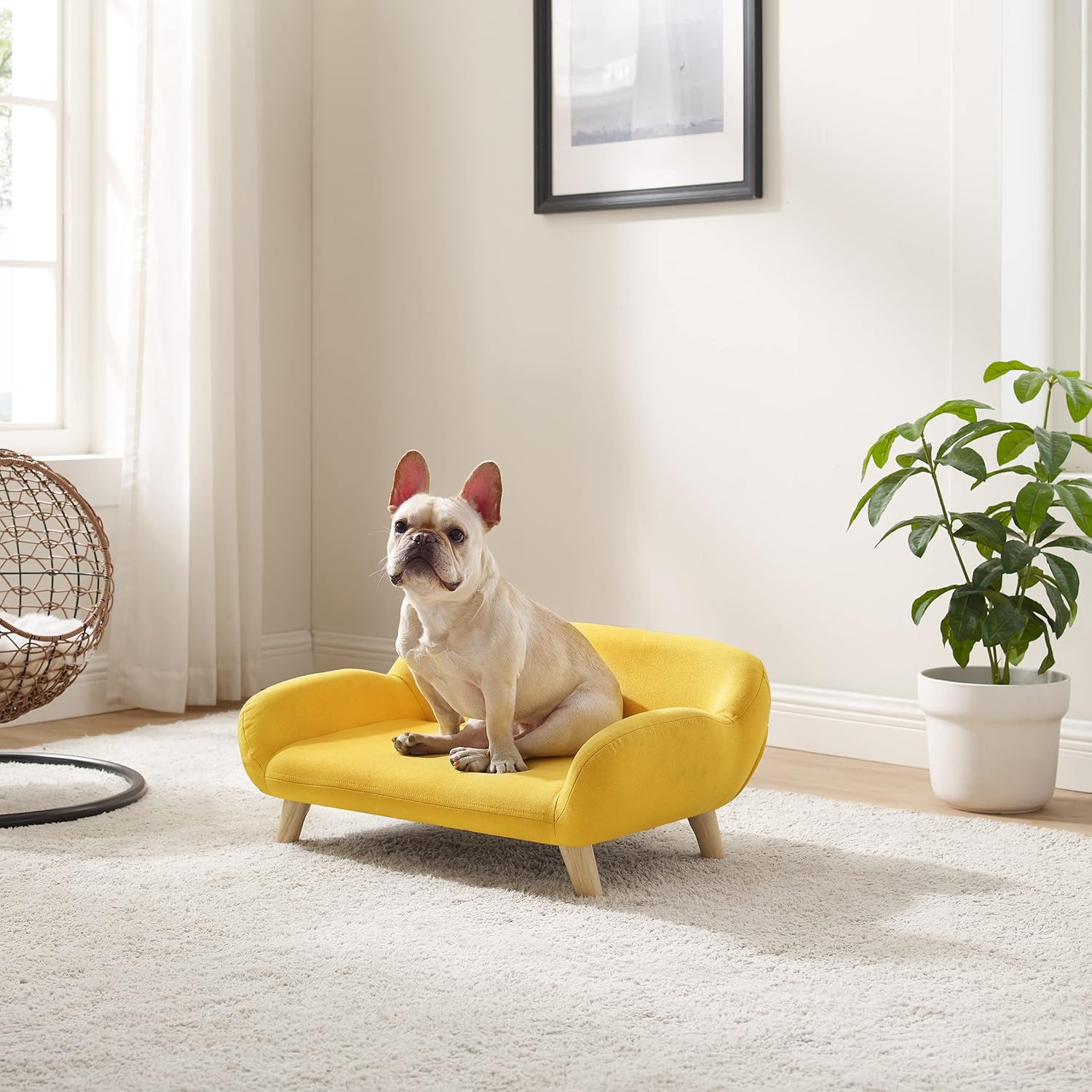 Sam's Pets Akkeri 28.5" Pet Couch, Yellow - Elevated Sofa Chair, Linen Fabric, Cozy Warm, Water-Resistant, Multi-Use, Furniture Style, Sturdy Wood Legs