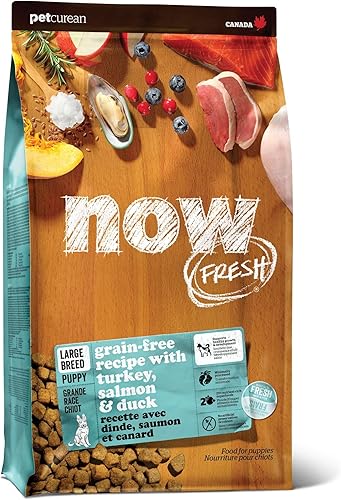 Now Fresh Alimento seco para perros sin granos, carne y pescado reales, pavo, salmón y pato, receta para cachorros de raza grande, bolsa de 12 libras