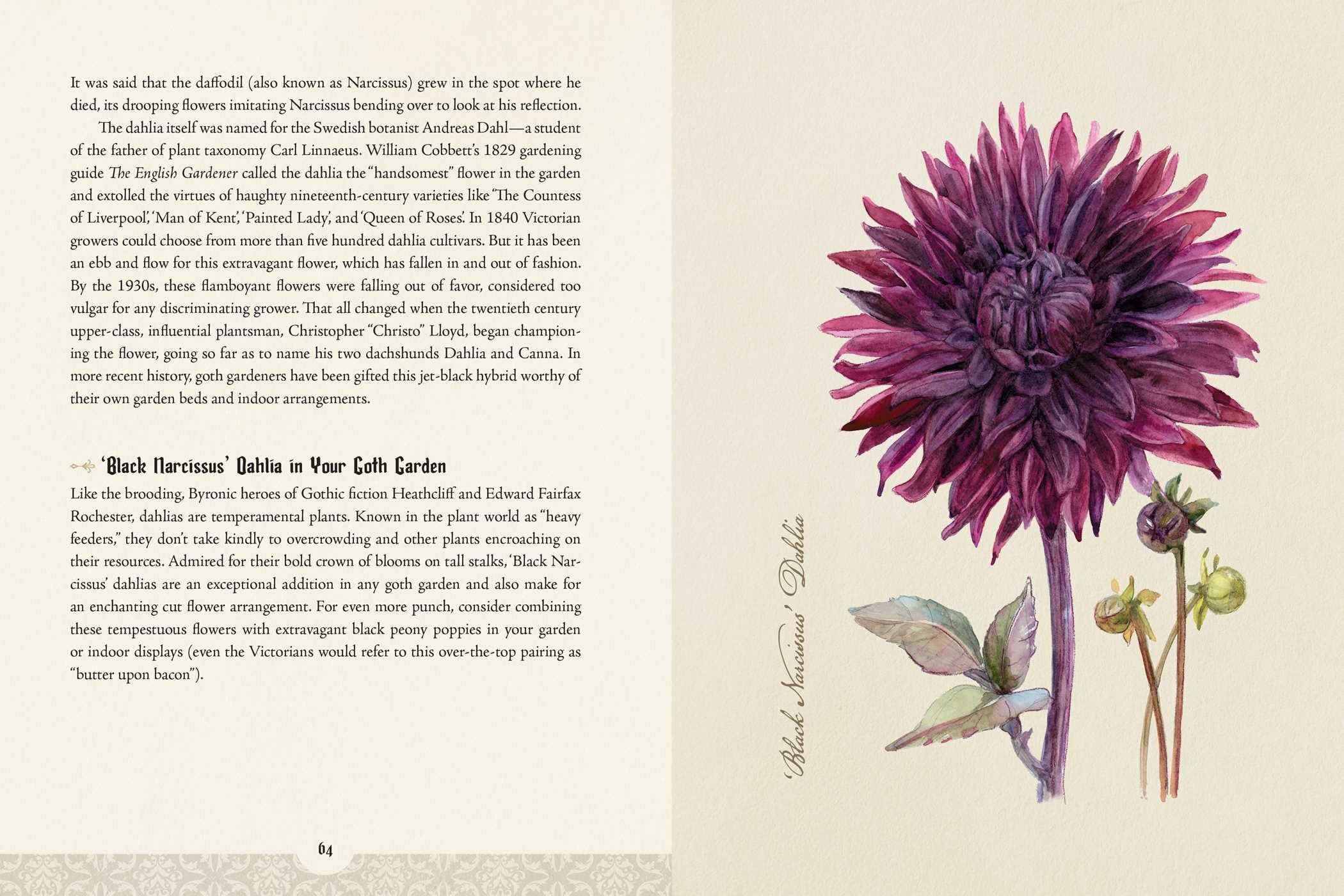 The Goth Garden: The Mystery, Beauty, and Lore of Dark Gardening