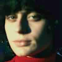 Amazon.co.jp: Little Electric Chicken Heart [Analog]: Music