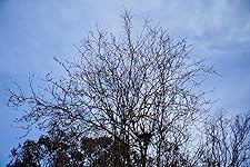 Review Image by Adam Adam