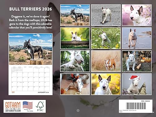 Vista 306 de Calendario Goldendoodle 2026 Golden Doodle mensual de pared calendario de 12 meses Fabricado en Estados Unidos