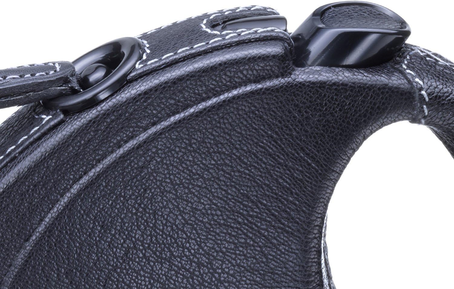 flexi ELG.210.S LED.12 Leather Tape 5 m, Medium, Black