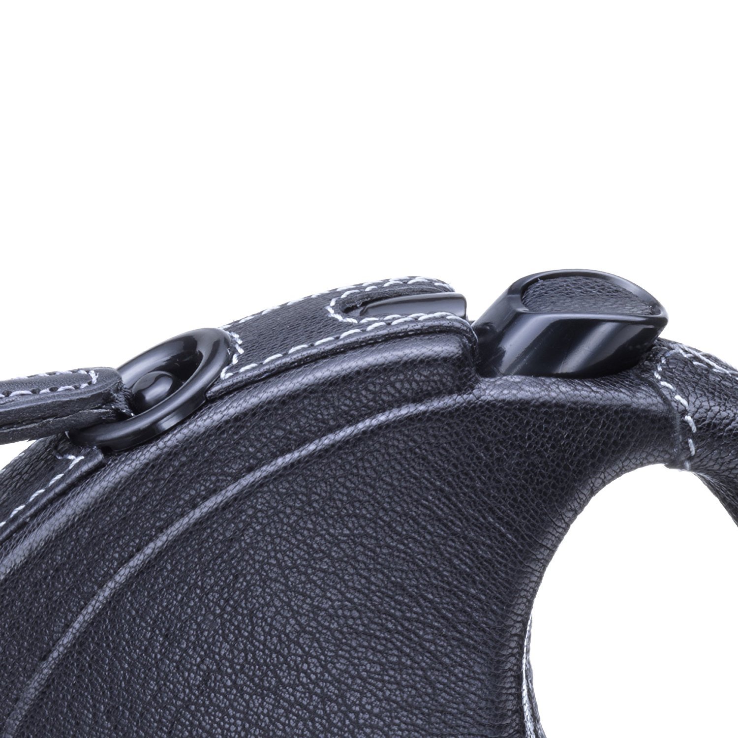 flexi ELG.210.S LED.12 - Cinta de Piel (5 m, Medio), Color Negro