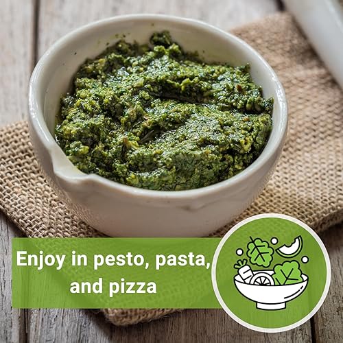 Miniatura 5 de Sow Right Seeds - Semilla de albahaca griega para plantar - Paquete de reliquia sin OMG con instrucciones para plantar y cultivar fácilmente un