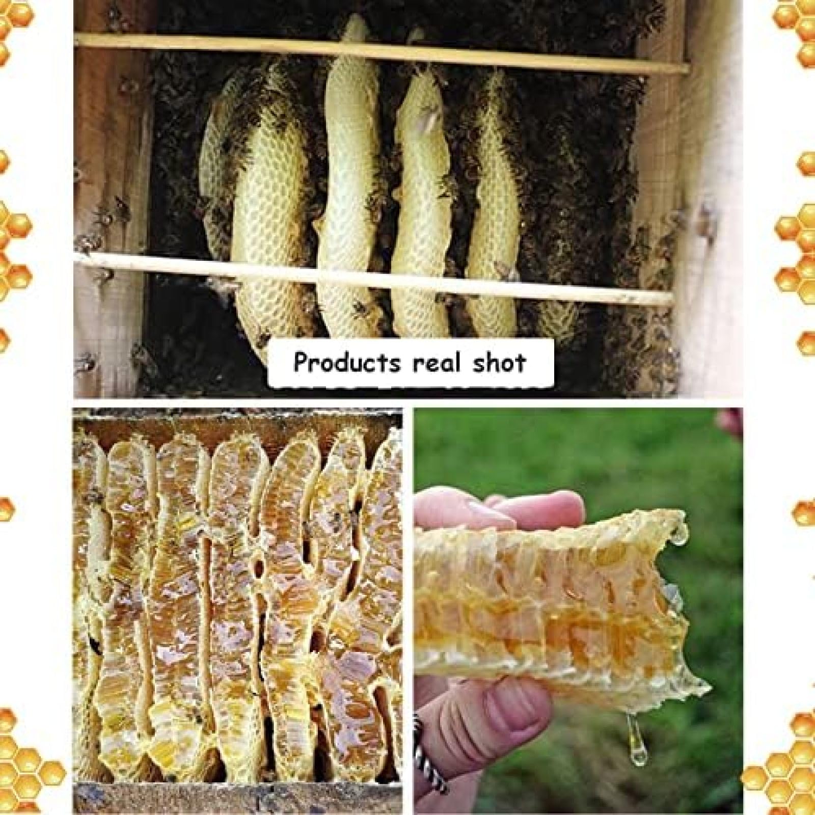 Kit completo, recubierto de cera de abeja con marcos y hoja de base, colmena de 3 capas para una apicultura eficaz
