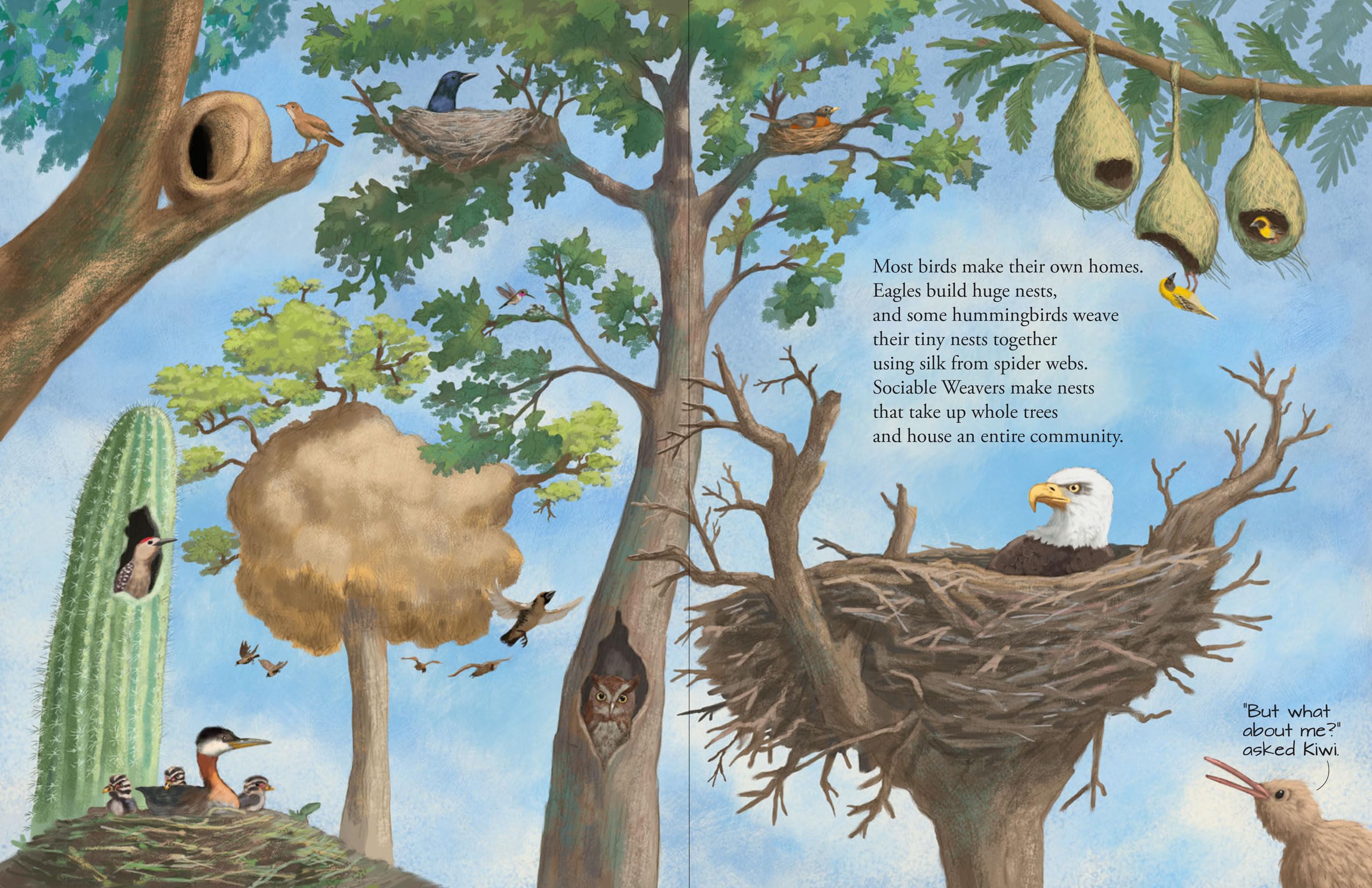 All the Birds in the World - Image 5