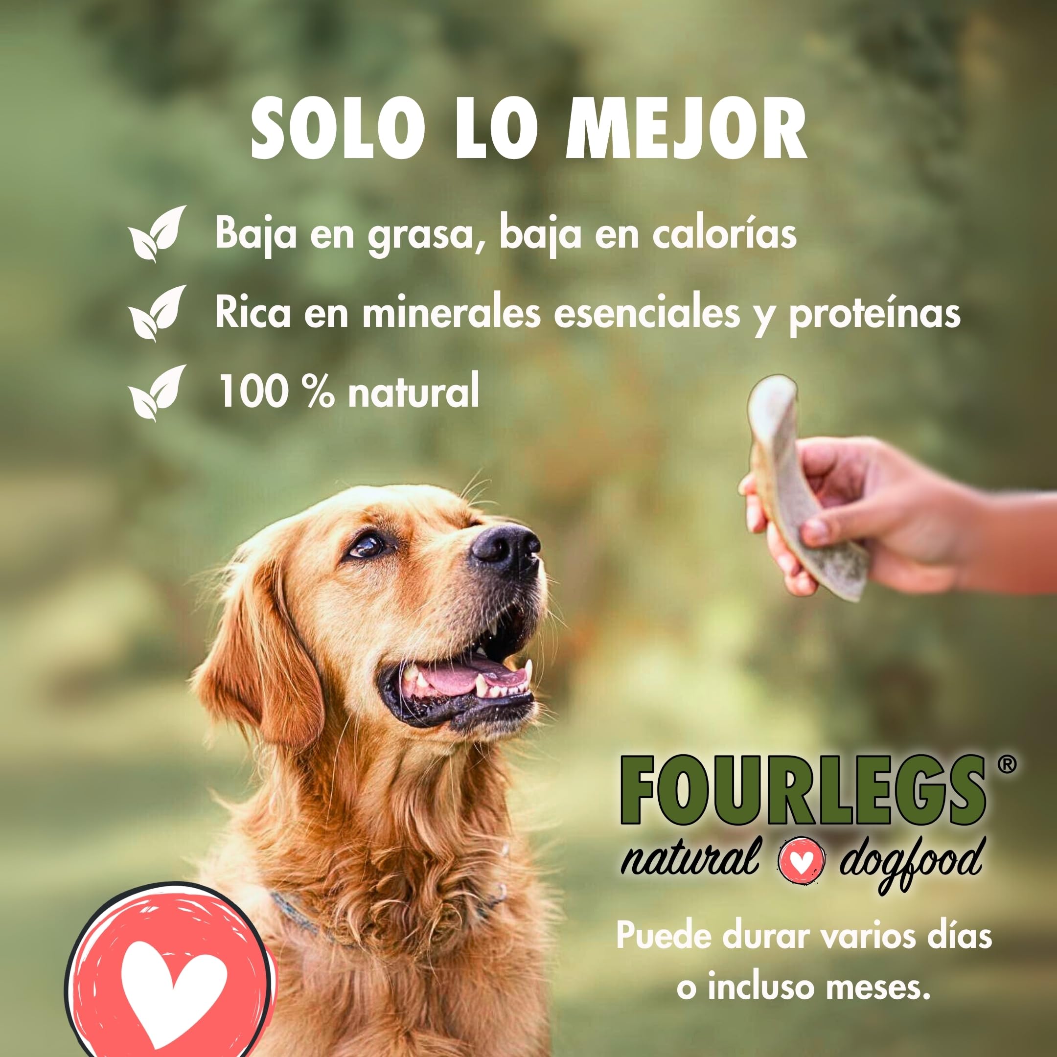 FOURLEGS® Asta Perro Natural Hecha de Asta de Ciervo 100% - con Minerales, Juguete Perro, Sabor a Venado, Huesos para Perros – Mordedor Perro – Tamaño XXL Mitad, Paquete de Ventajas (Pack de 5)