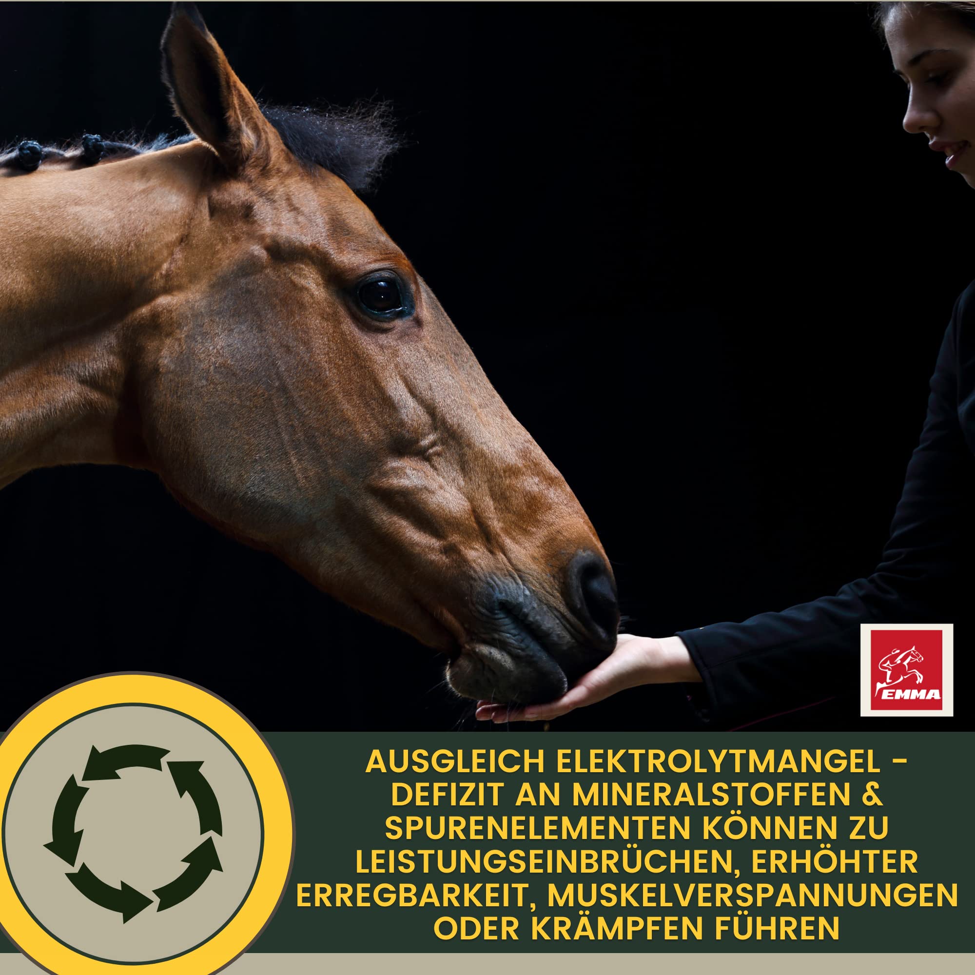 Electrolitos líquido + Pasta I electrolitos Caballo minerales Vitamina B12 oligoelementos I Sales de Sodio magnesio Caballo electrolitos diarrea vómito Agua sudoración Sales minerales Caballo 1L 30ml
