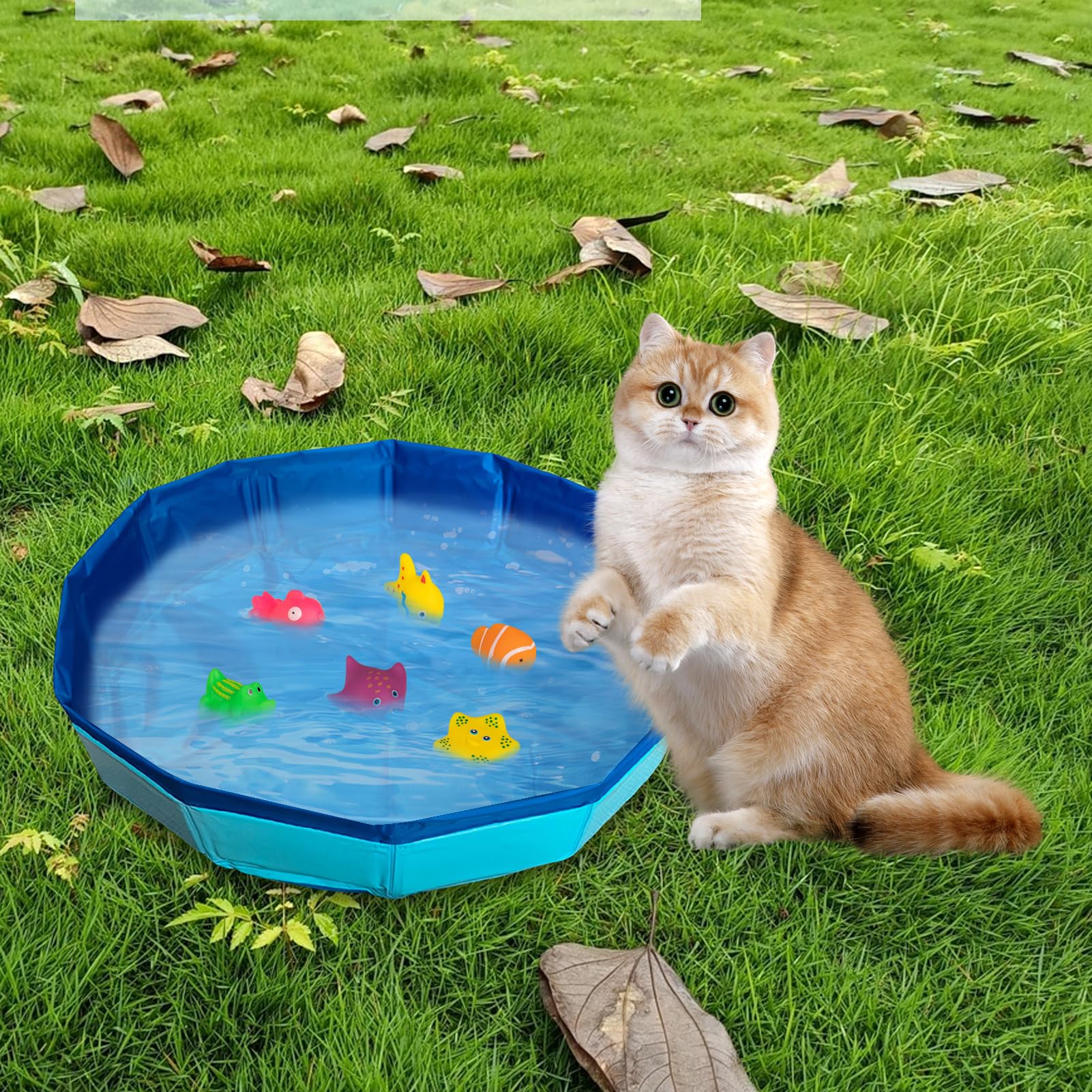 Piscine pour chat - 50 x 10 cm - Pliable - Avec 6 jouets - Mini piscine pour chat et chien - Jouet d'eau - Mini piscine pour l'été (B)