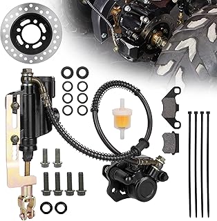 RUTU Rear Foot Brake Master Cylinder Caliper Assembly with Brake Disc and Brack Pads for 50cc 70cc 90cc 110cc 125cc Taotao 125D Boulder B1 Coolster Kazuma SunL RPS Icebear 3050HD 3050C ATV