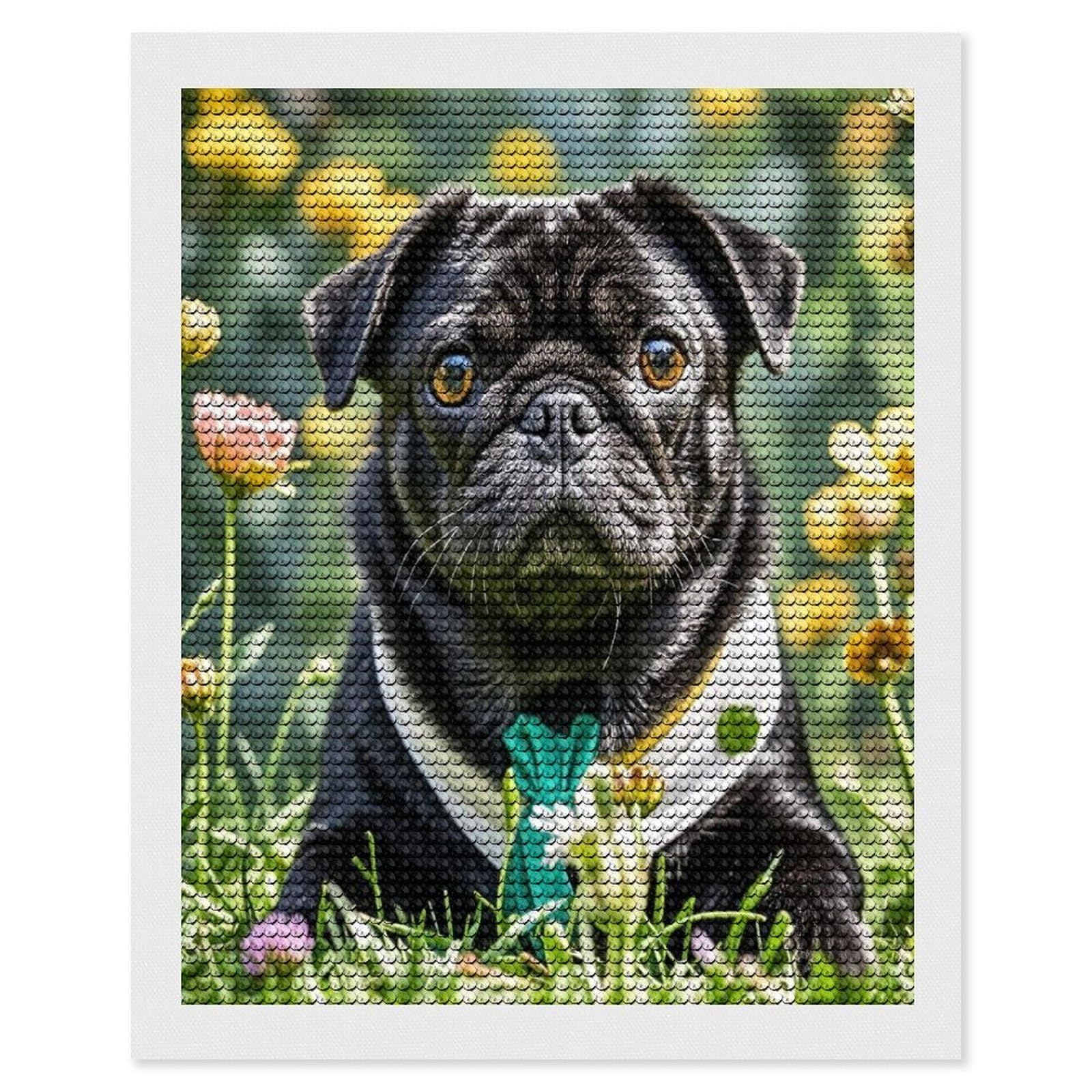 FekiLoot Cute Black Pug Dog Diamond Painting Kits for Adults Full Round Drill Diamond Art Kits for Beginners 5D DIY Diamond Dots Paintings Diamonds Pictures Gem Art Home Wall Decor 16"x20"