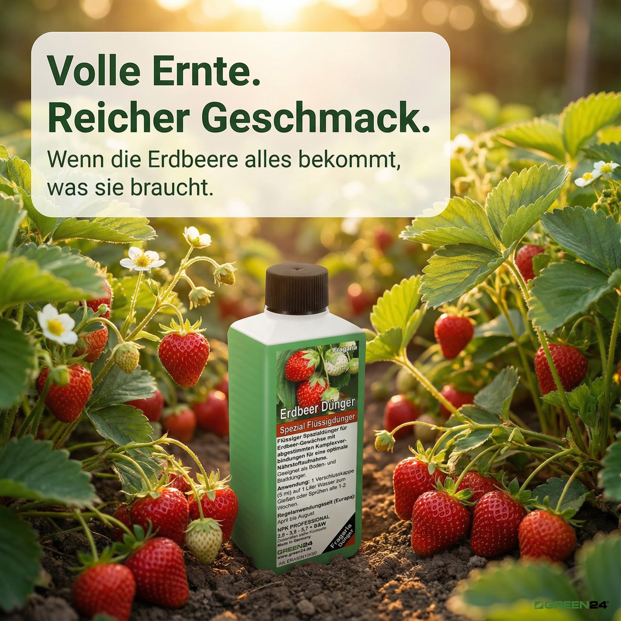Erdbeer-Dünger XL 1 Liter Spezial Dünger für Erdbeer-Pflanzen, Fragaria Arten