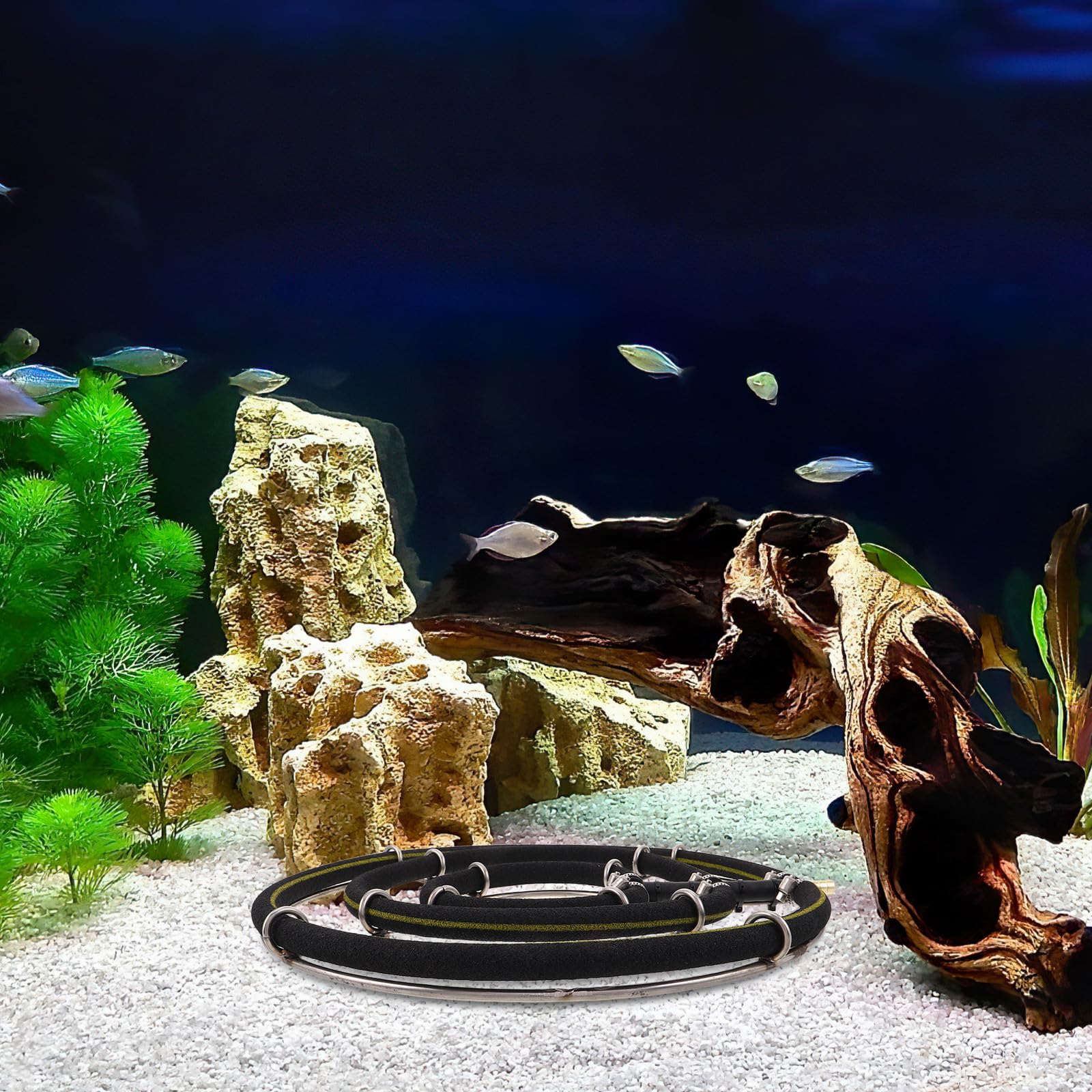 UKCOCO Difusor de Oxígeno para Acuario y Estanque de Peces, Aireador de Burbujas Finas de Acero Inoxidable, Disco Redondo para Manguera de 8mm, Adecuado para Acuarios Familiares