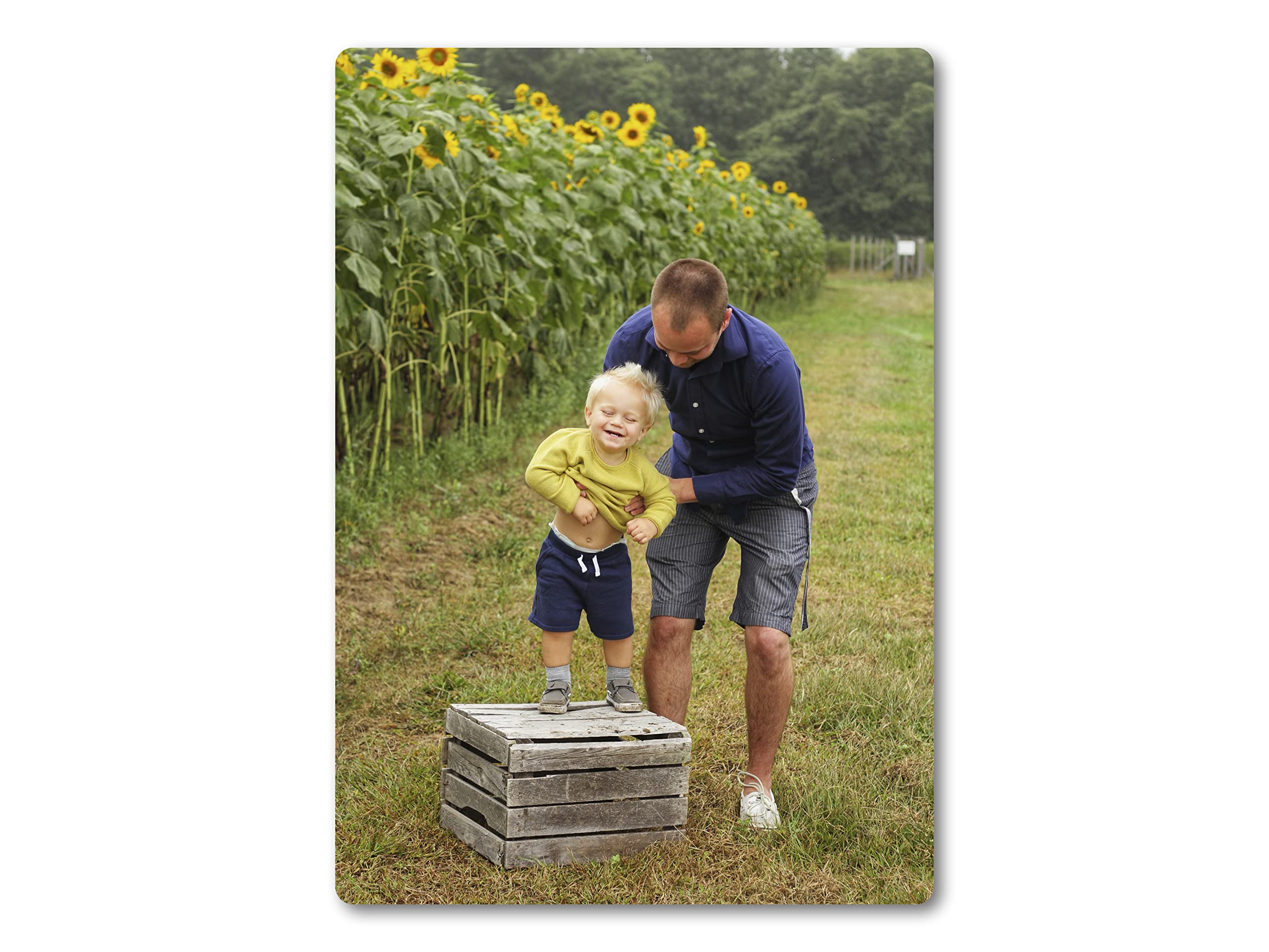 PIXPRINT Personalised Any Photo METAL Print. Home Decor. Wall Hanging Plaque. (A3 Portrait (287mm x 405mm))