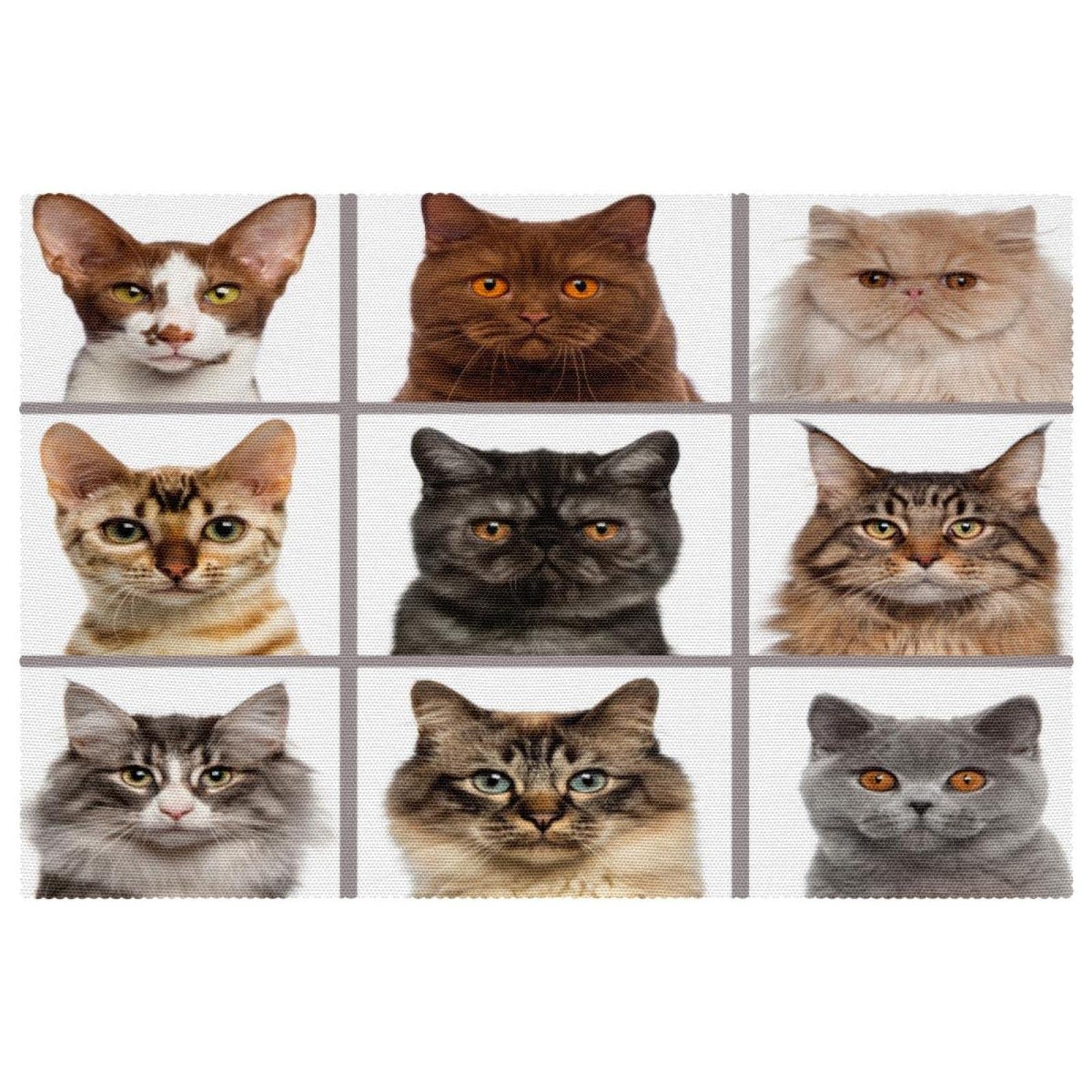 Sets de table motif chats antidérapants résistants à la chaleur lot de 6