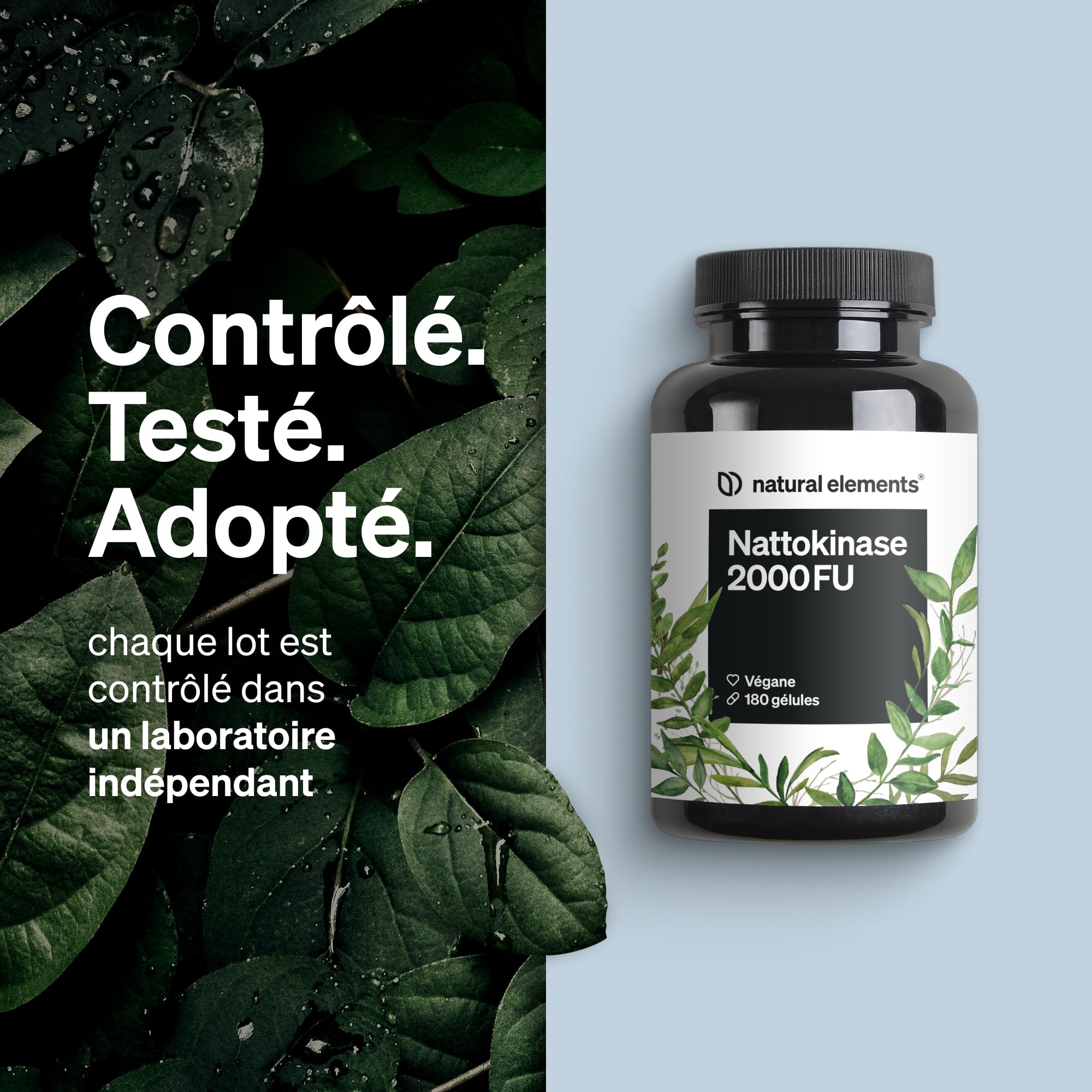 Nattokinase – 180 gélules hautement dosées de 100 mg (20 000 FU/g) chacune – natto issu de soja sans OGM – végane, sans additifs inutiles – produit et contrôlé en laboratoire en Allemagne