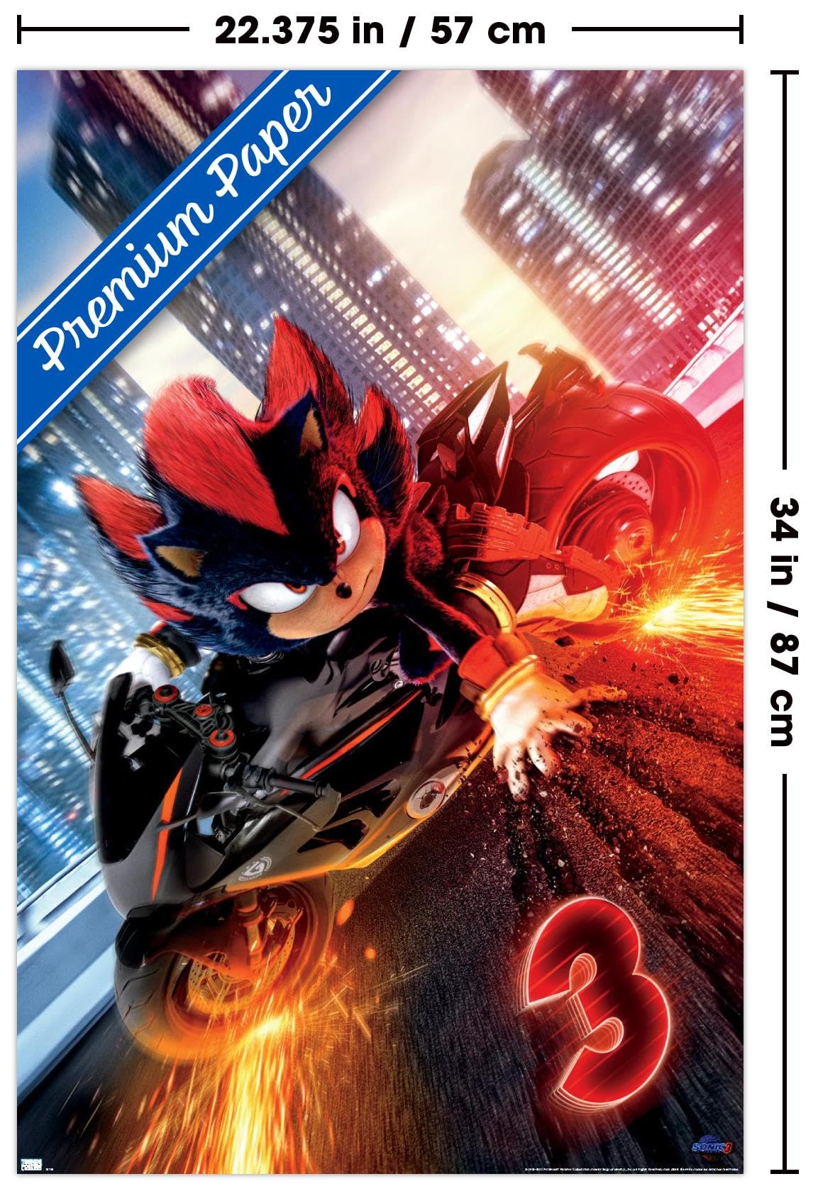 Amazon.com: Sonic The Hedgehog 3 - Shadow Motorcycle One Sheet