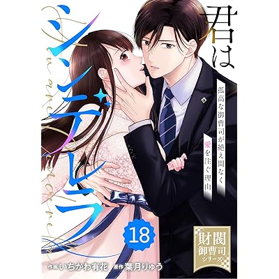 comic Berry’s君はシンデレラ～孤高な御曹司が絶え間なく愛を注ぐ理由～【財閥御曹司シリーズ】18巻 (Berry's COMICS)