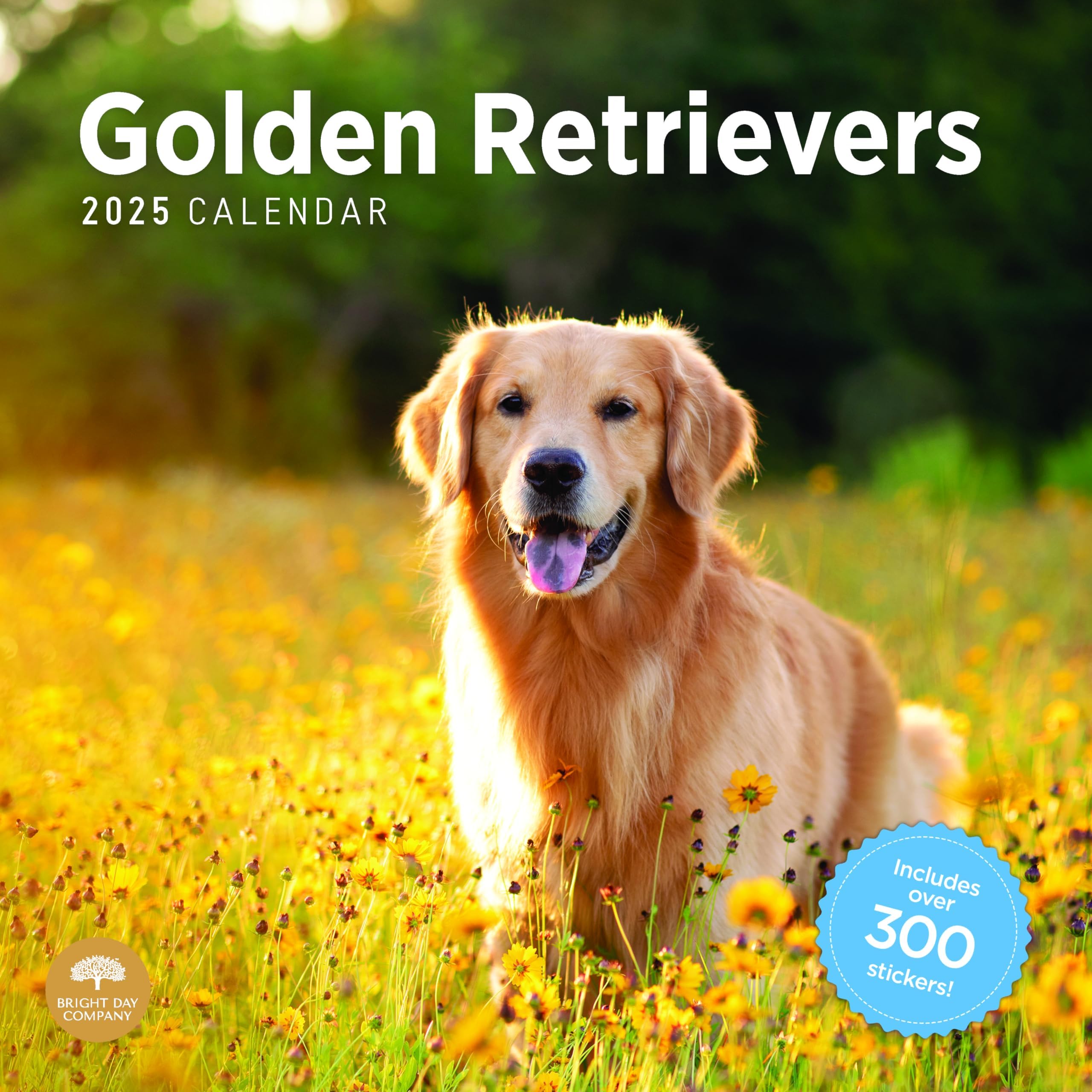 2025 Golden Retrievers Monthly Wall Calendar By Bright Day Includes AC