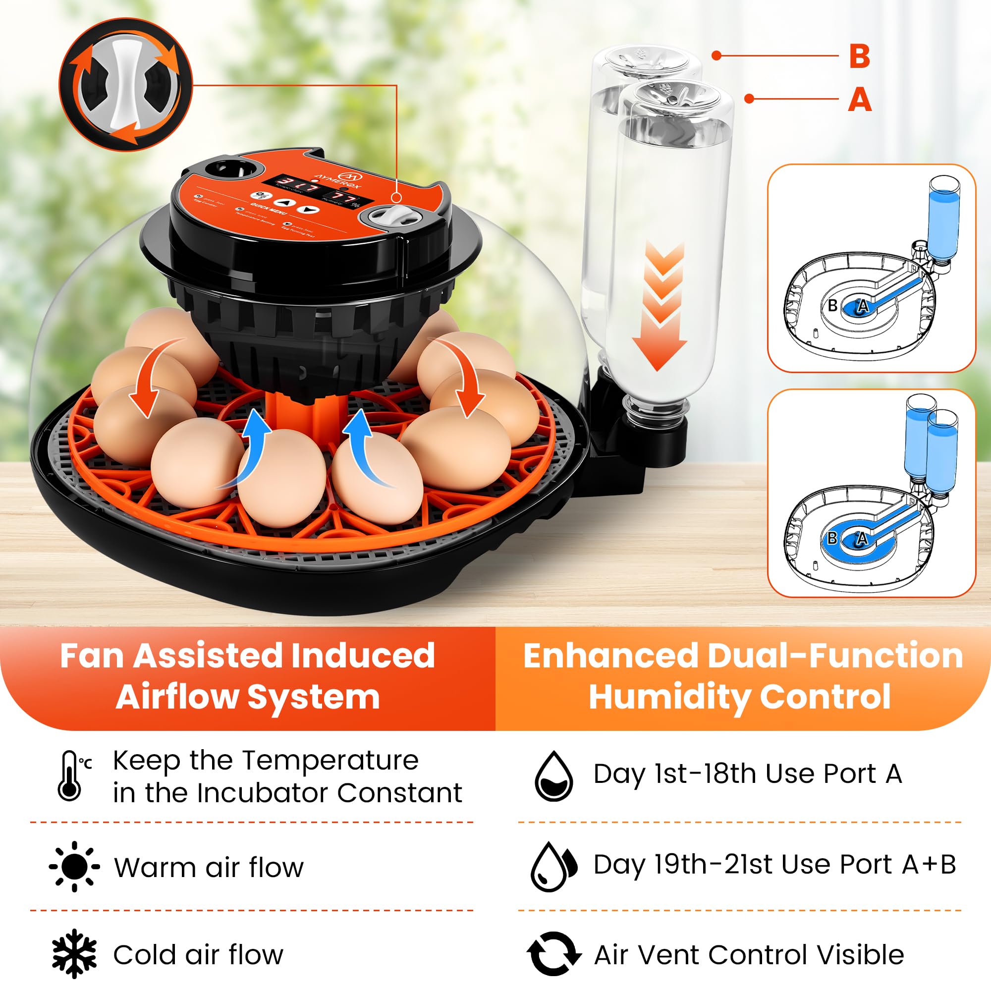 Incubatrice per uova da cova per 12 uova, pollo, anatra, quaglia e oca, con controllo automatico della temperatura e dell'umidità, display digitale a LED, sistema di ricarica automatica dell'acqua