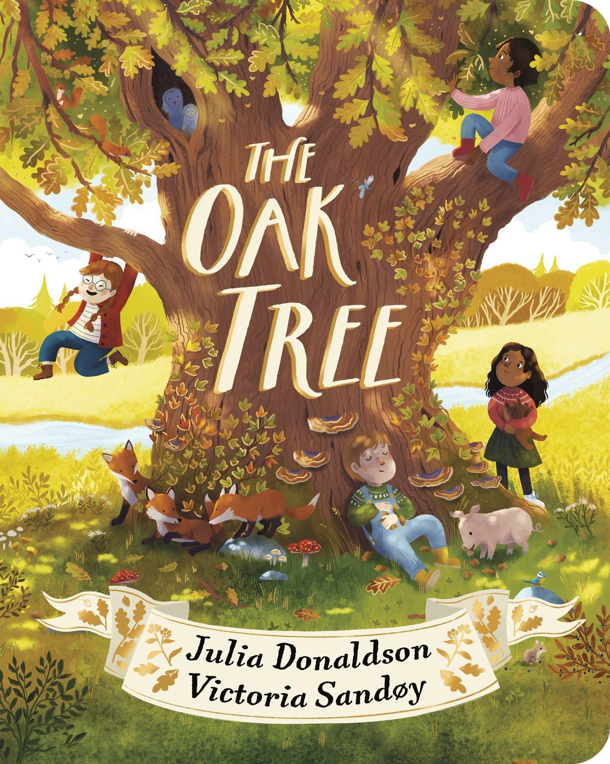 The Oak Tree CBB: a dazzling celebration of nature by Julia Donaldson, the author of The Gruffalo, now in chunky board book format