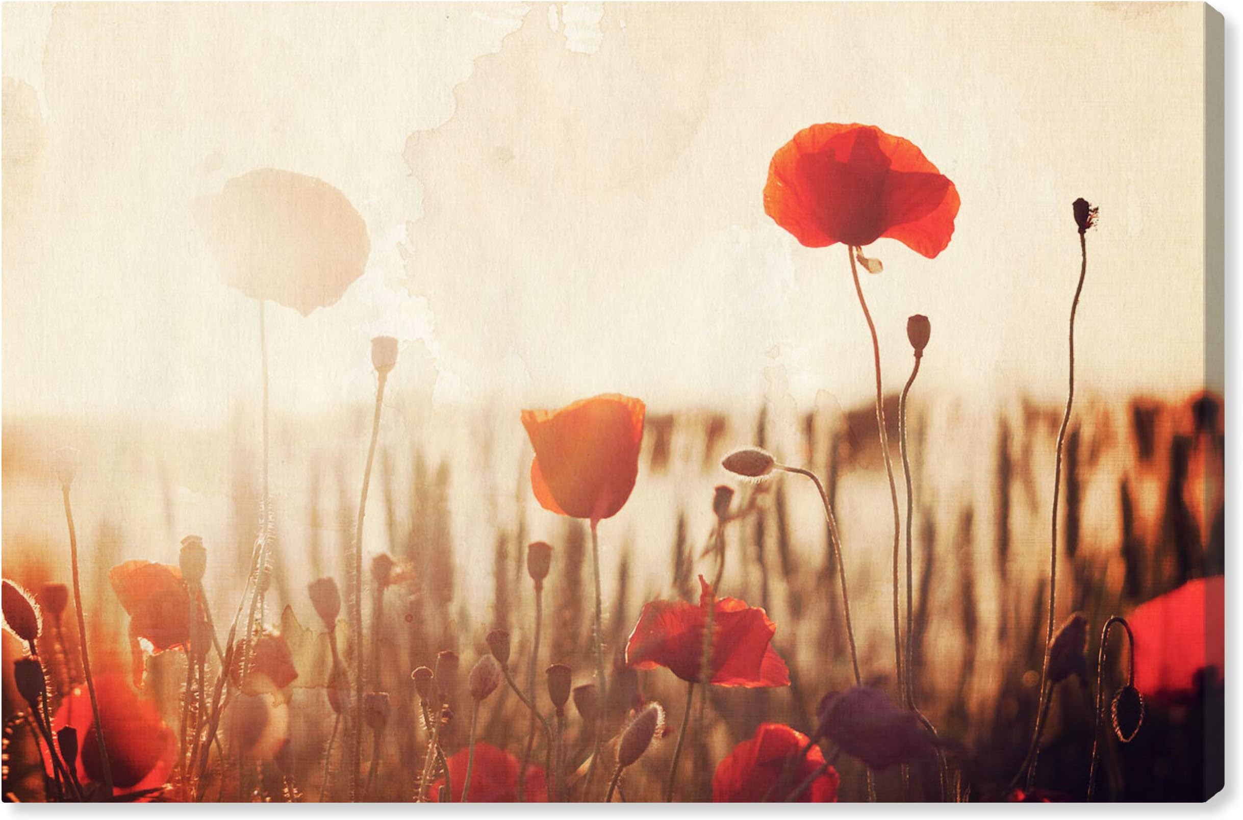 Amazon Brand – Stone & Beam Contemporary Red Poppies Print on Canvas, 36" x 24"