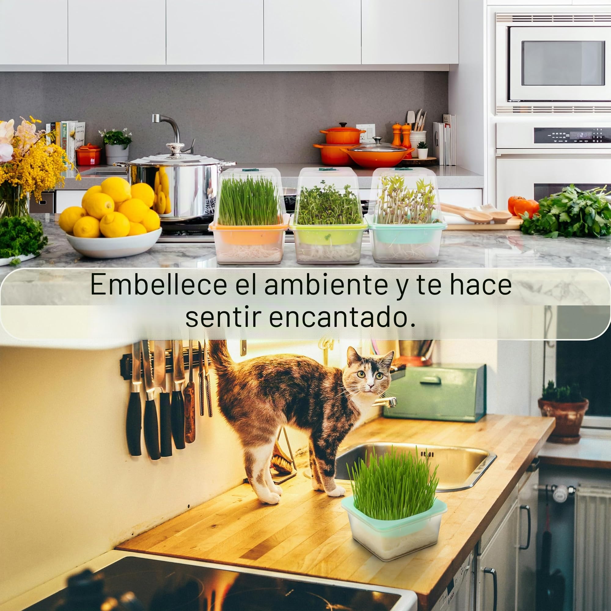 Bandejas para Microvegetales con Tapa y Domo de Humedad, LUVCSOY, Malla Pequeña 1.2 mm, Sin BPA Micro Semillas como Brócoli, Alfalfa, Rábano, Trébol. Pack de 4.